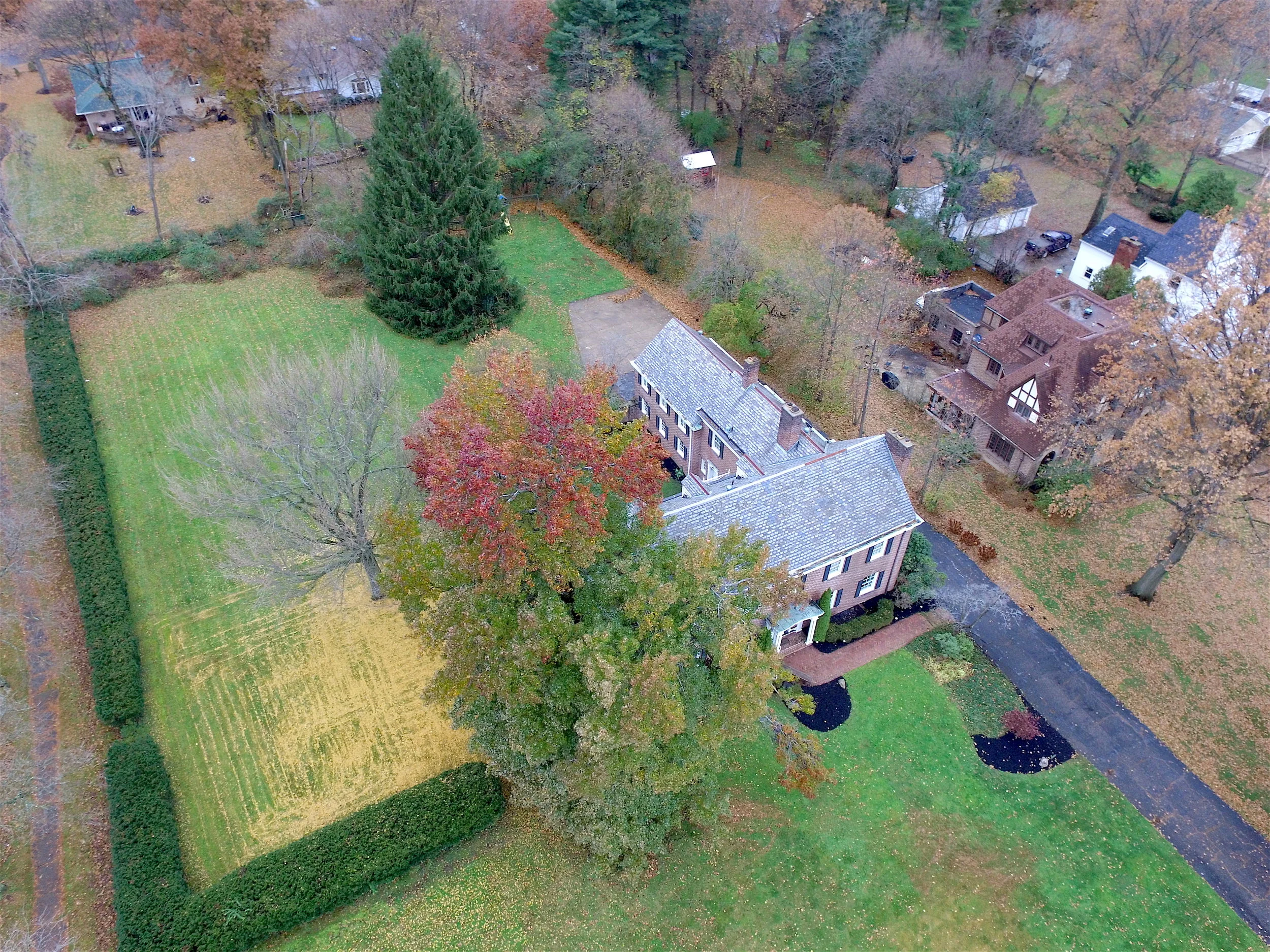 DJI_0536.JPG