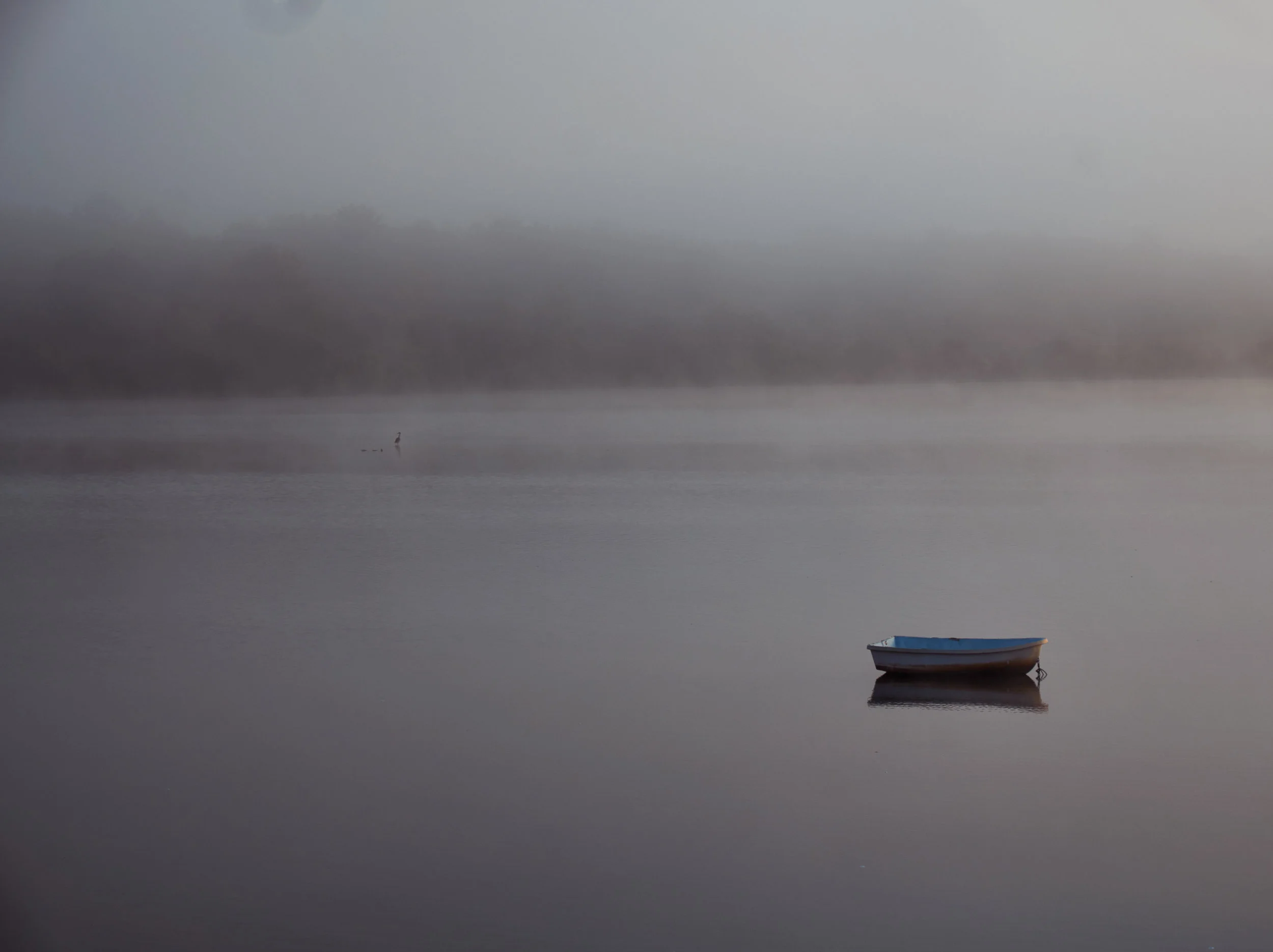 DSCF5119.jpg