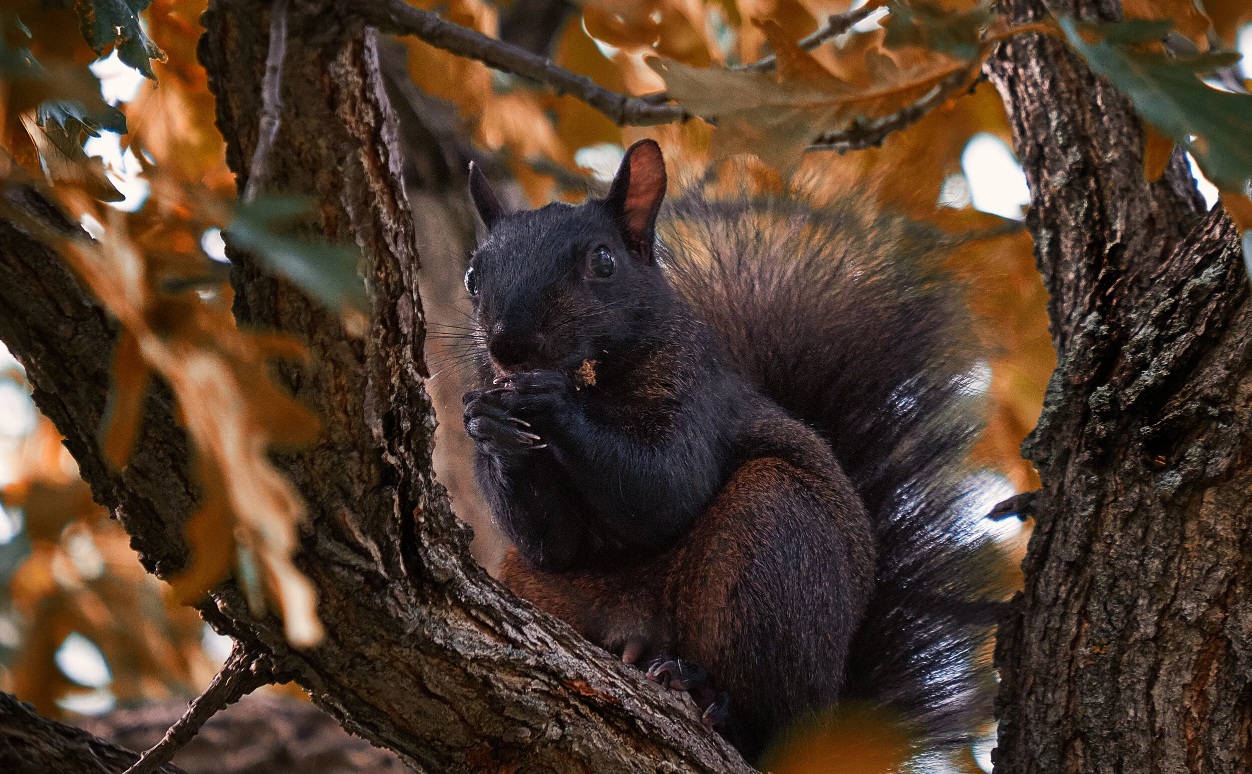 DSCF9835.jpg