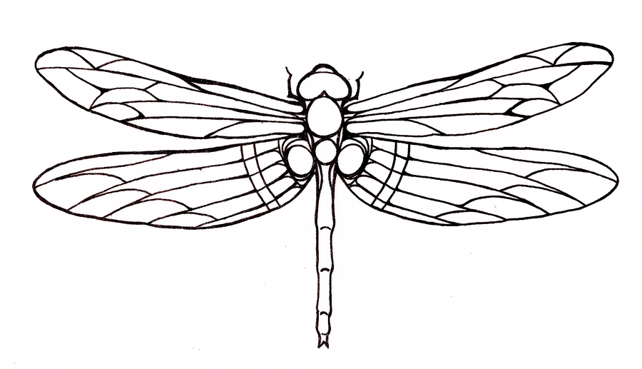 Best-Dragonfly-Tattoo-1.png