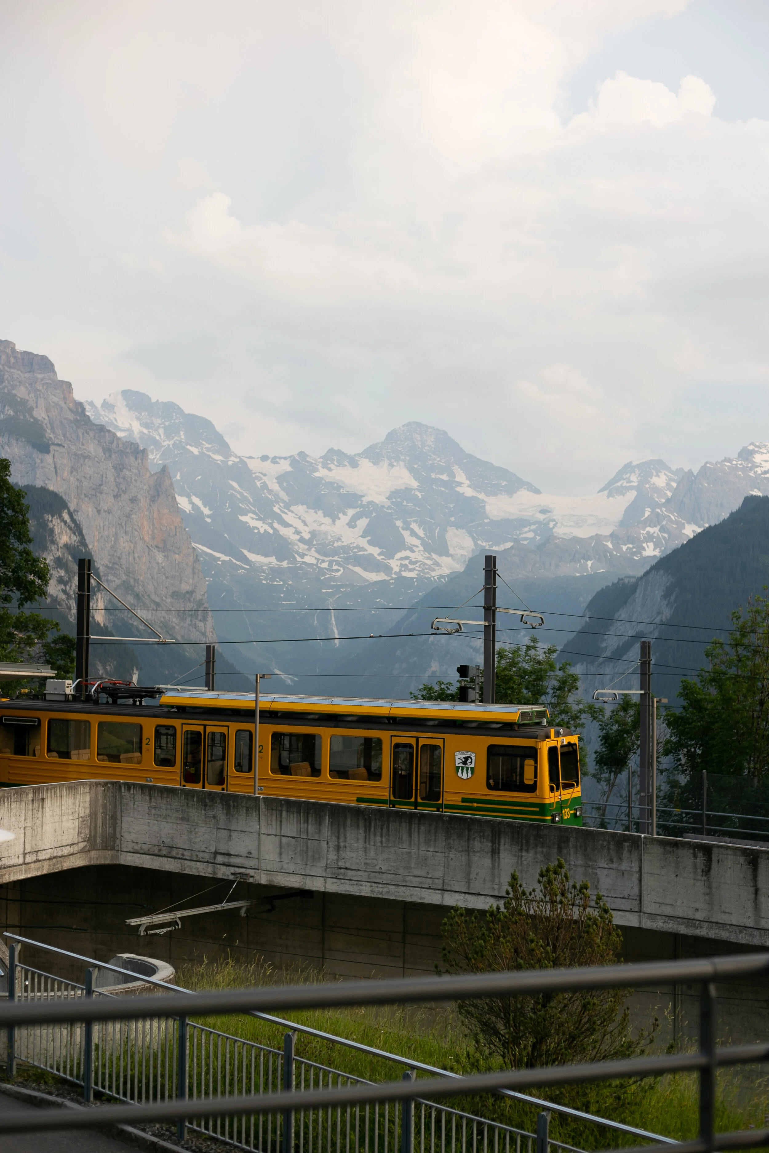 IMG_4123.jpg