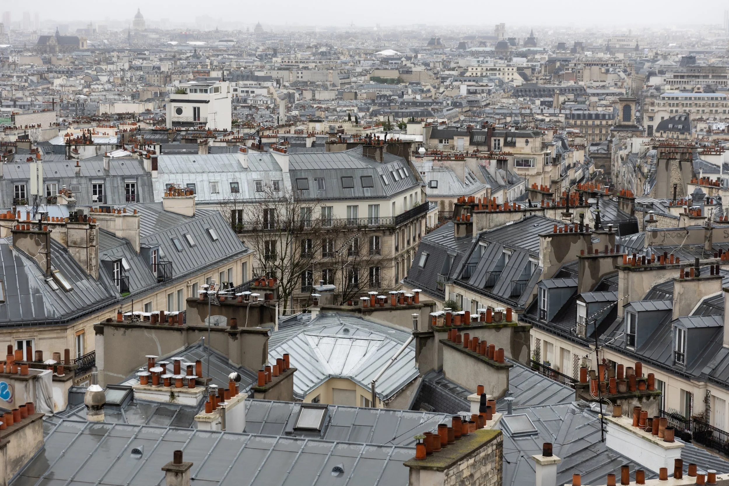 Paris Rooftops -1.jpg
