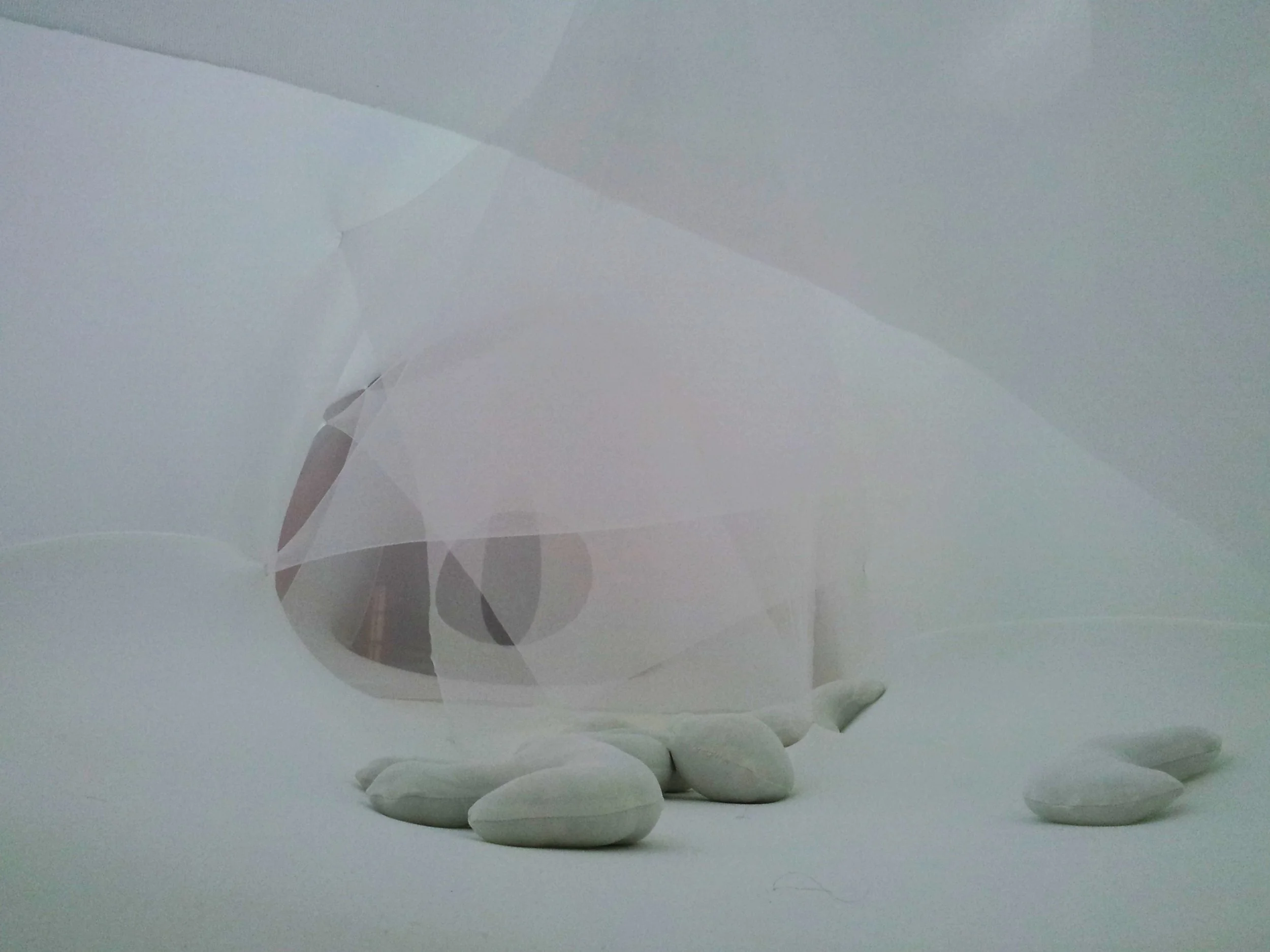 20130522_180335.jpg