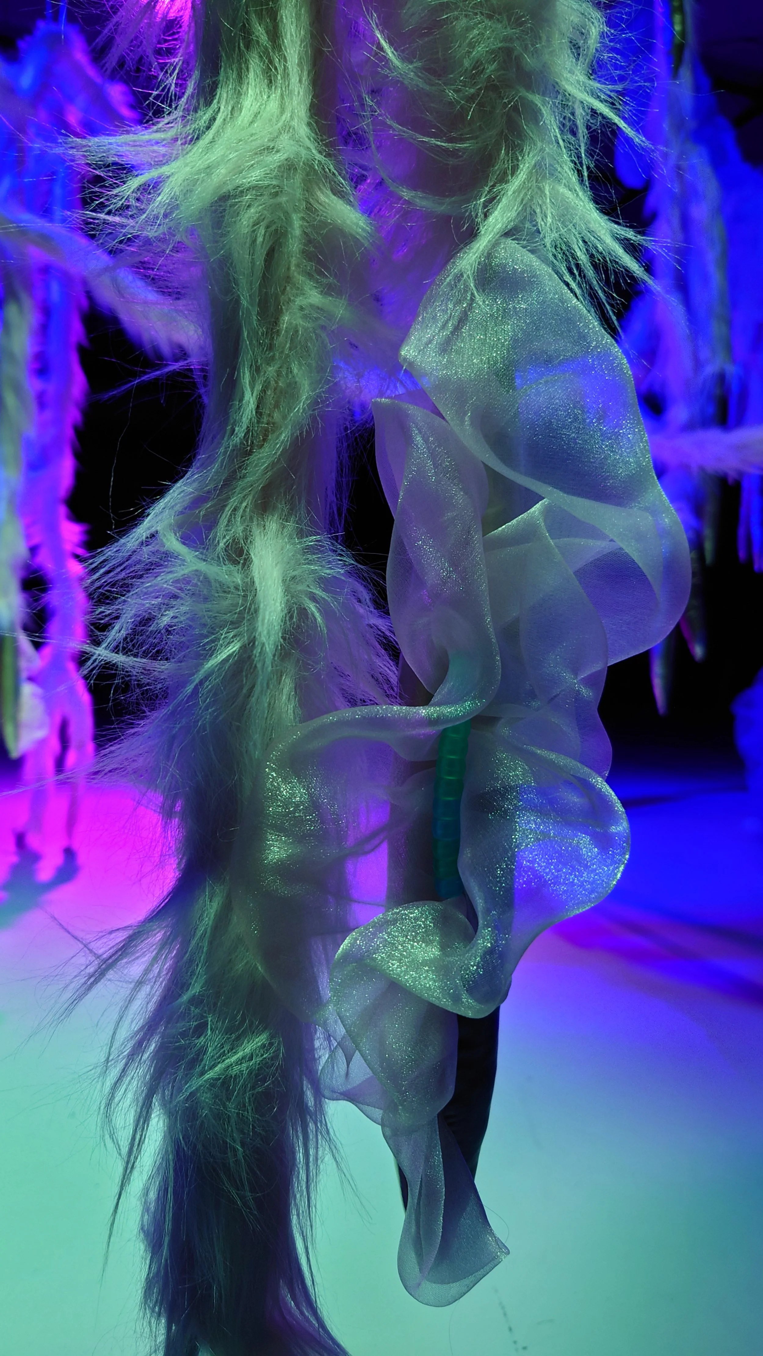 20230103_174218.JPG