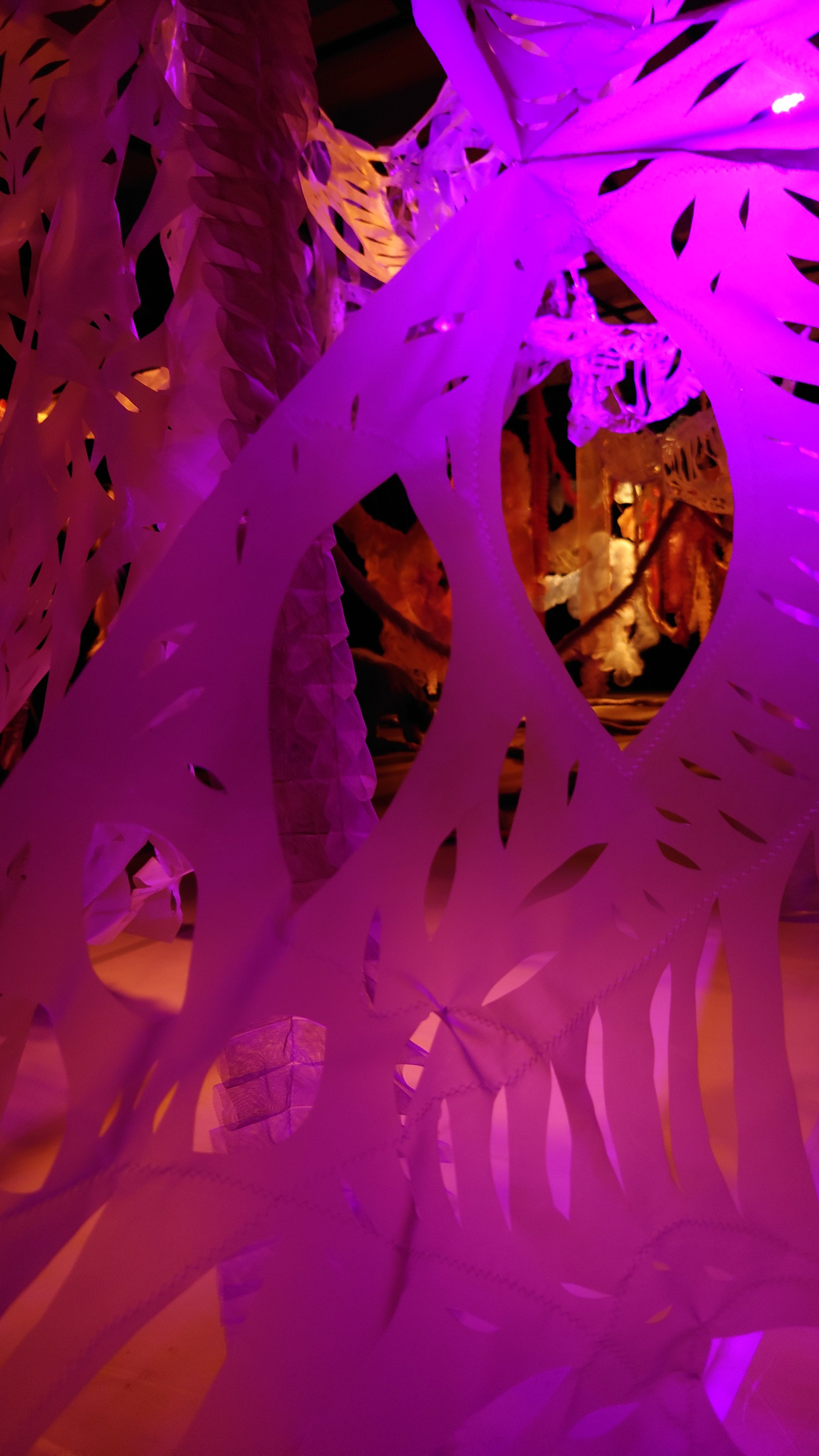 20230104_162810.JPG