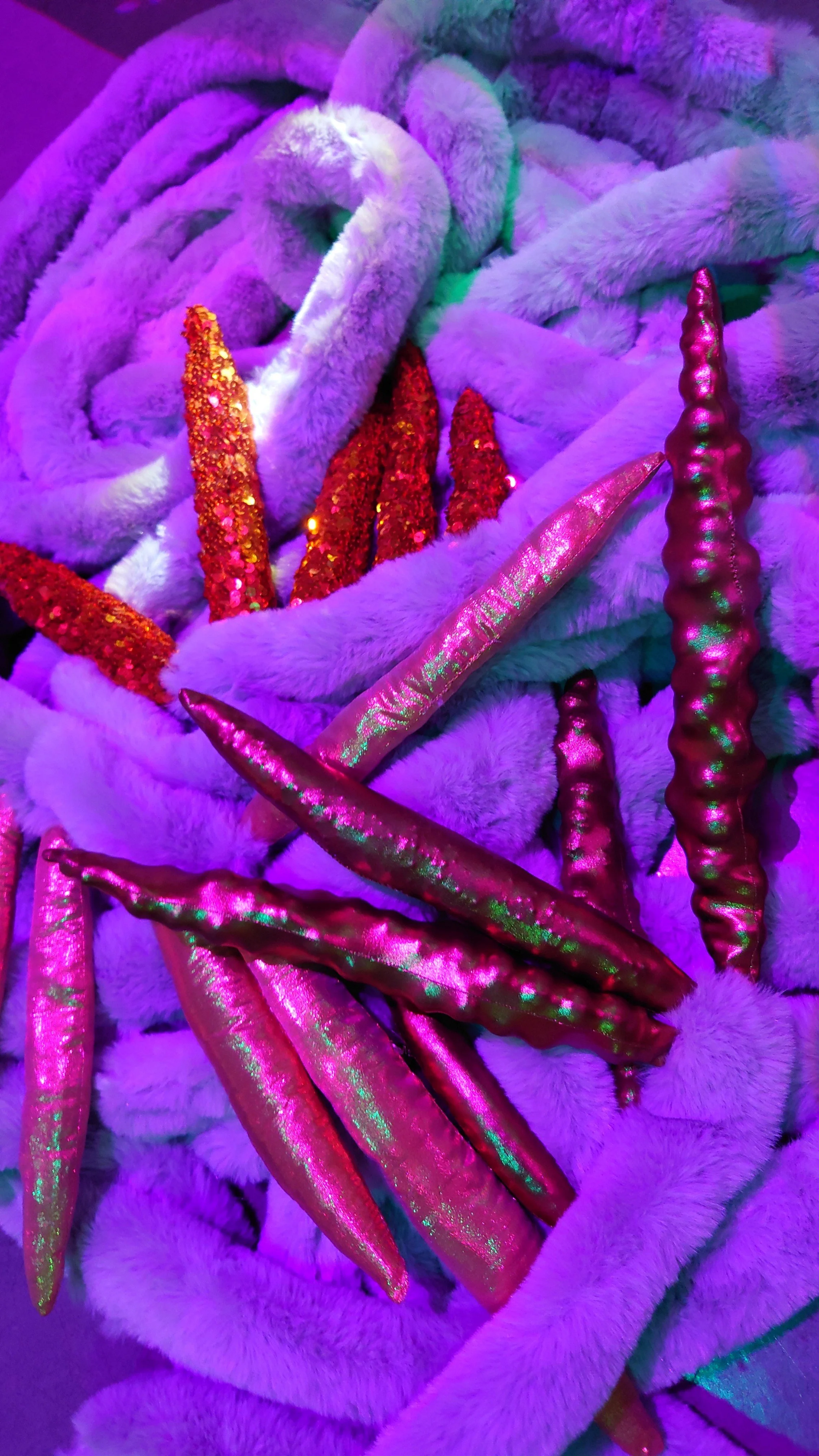 20221221_093858.JPG