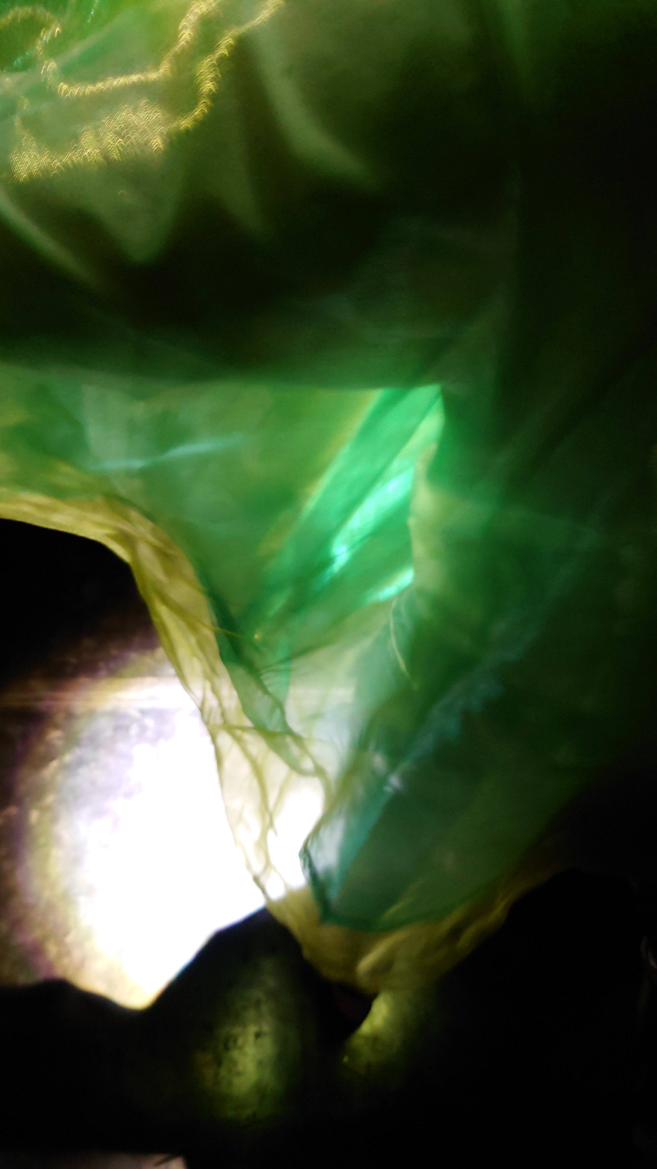 20221002_171312.jpg