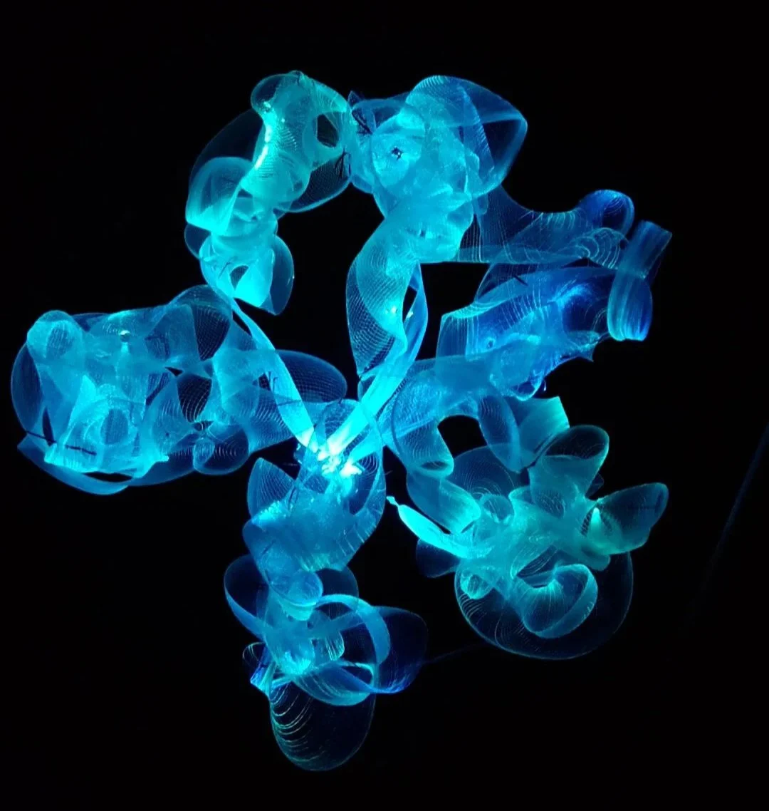 20240911_193047_exported_3705.jpg