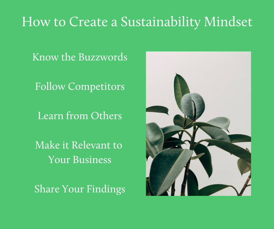 How to Create A Sustainability Mindset