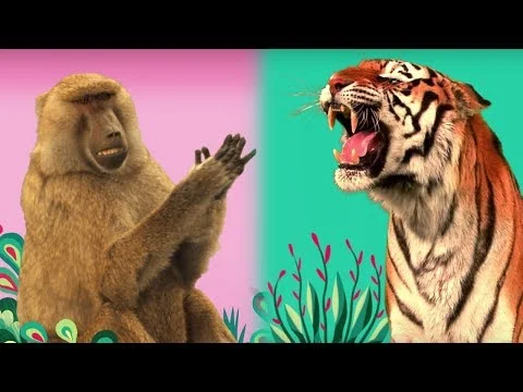 StoryBots 🐻 Animal Songs 🦁 