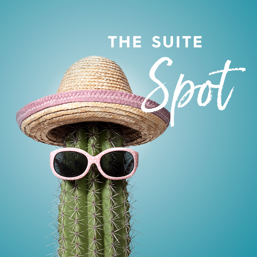 Suite-Spot.jpg