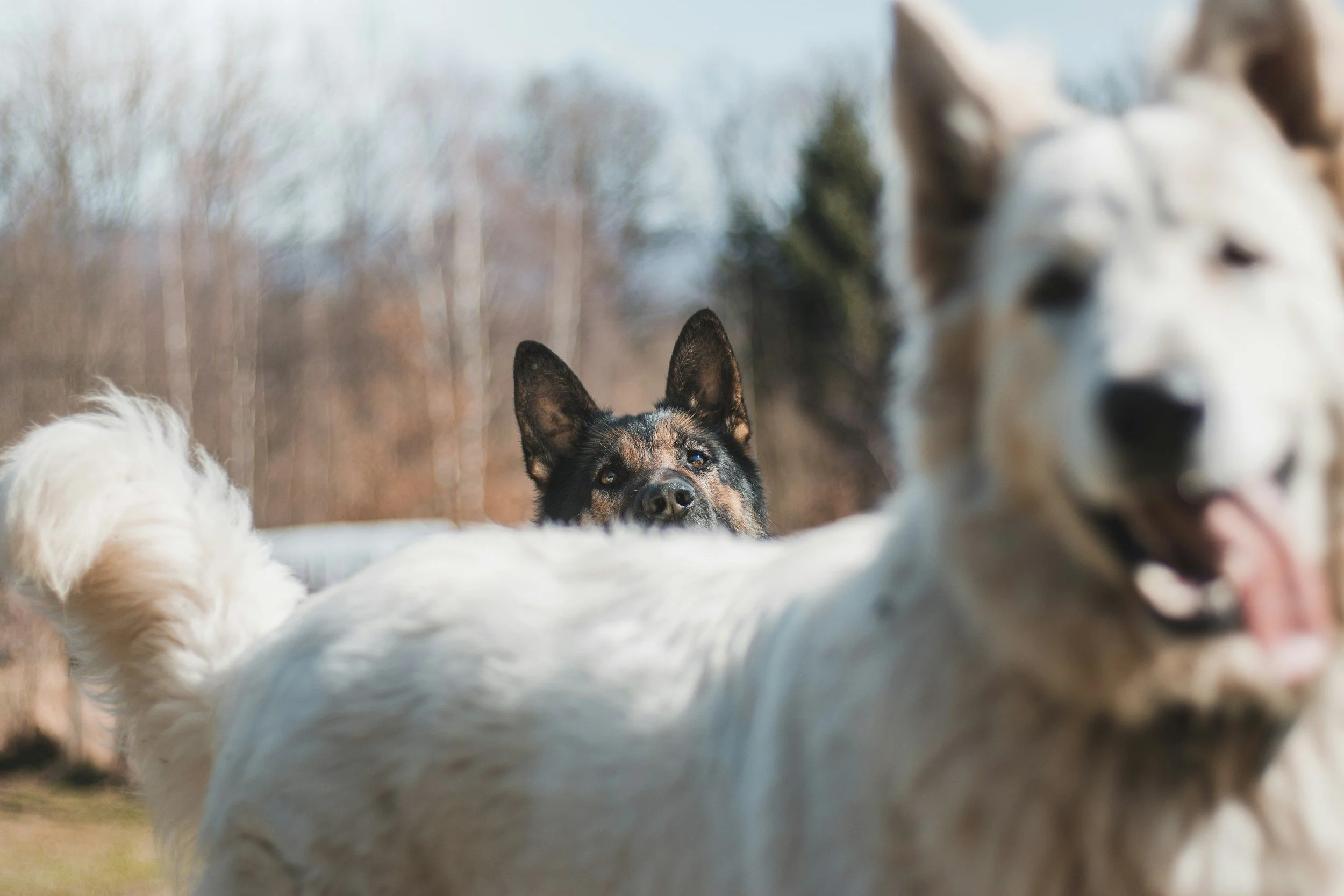 Therapy Story: "I feel so behind compared to other people."