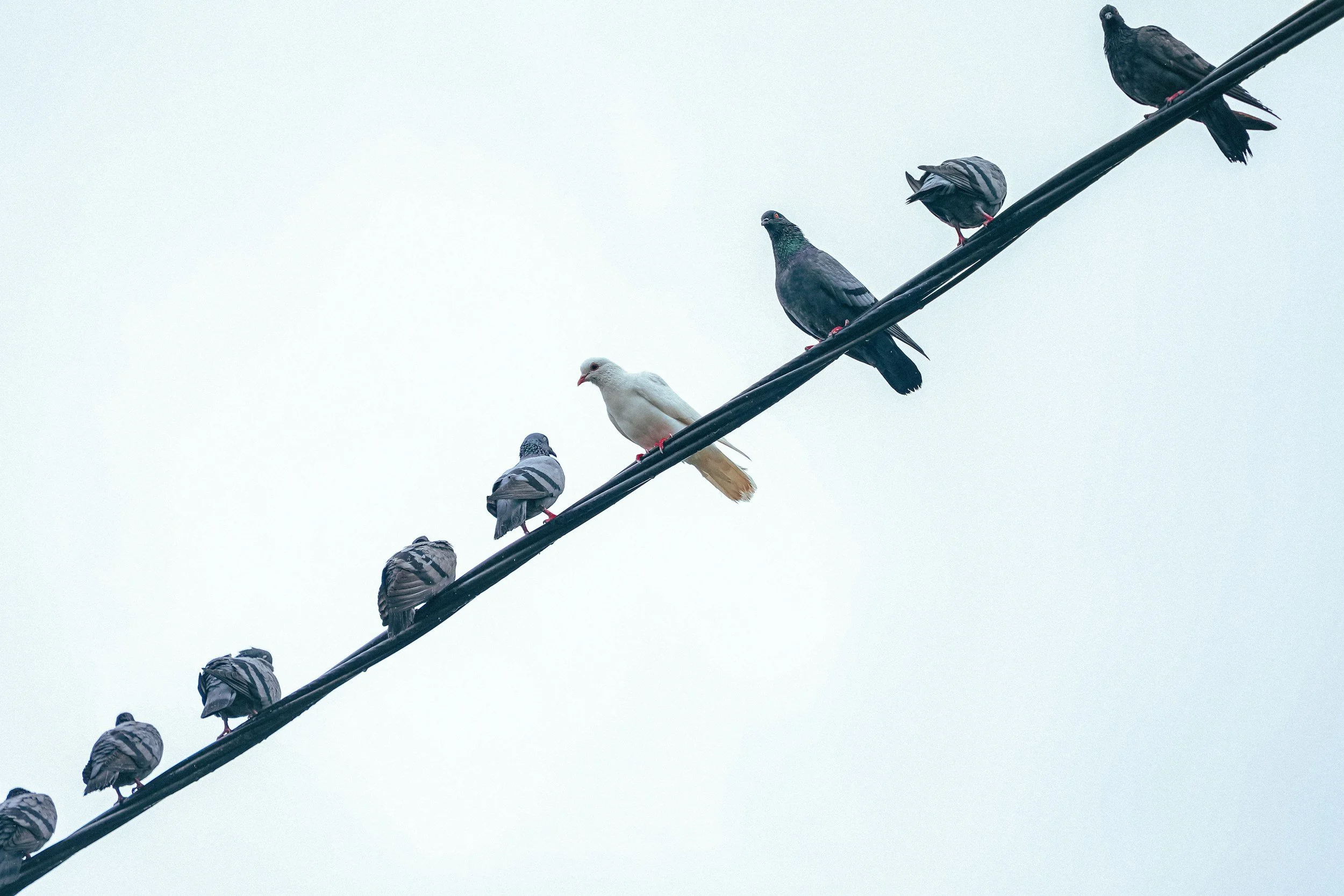 Therapy Story: "My problems are not as bad as other people’s problems.”