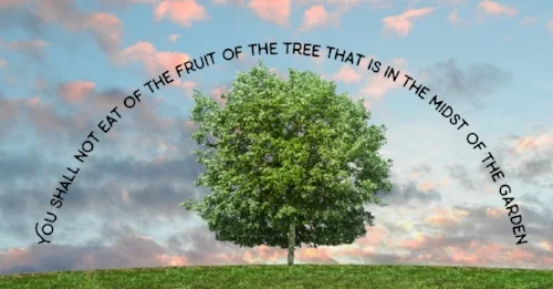 tree.jpg
