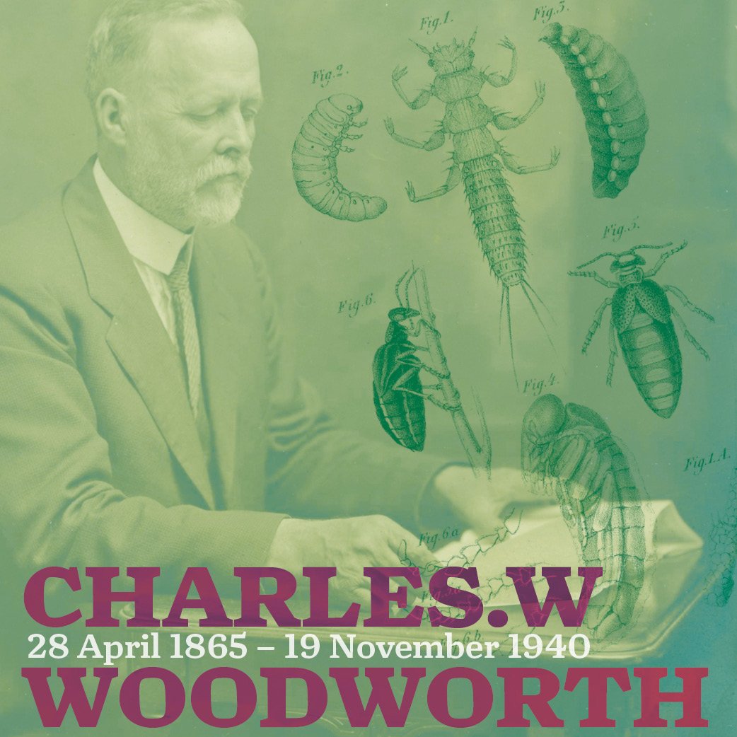 Charles_W._Woodworth_reading E1.jpg
