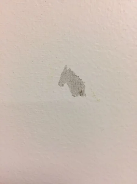 A scratch on the wall in my office with the uncanny resemblance of a horse's head.