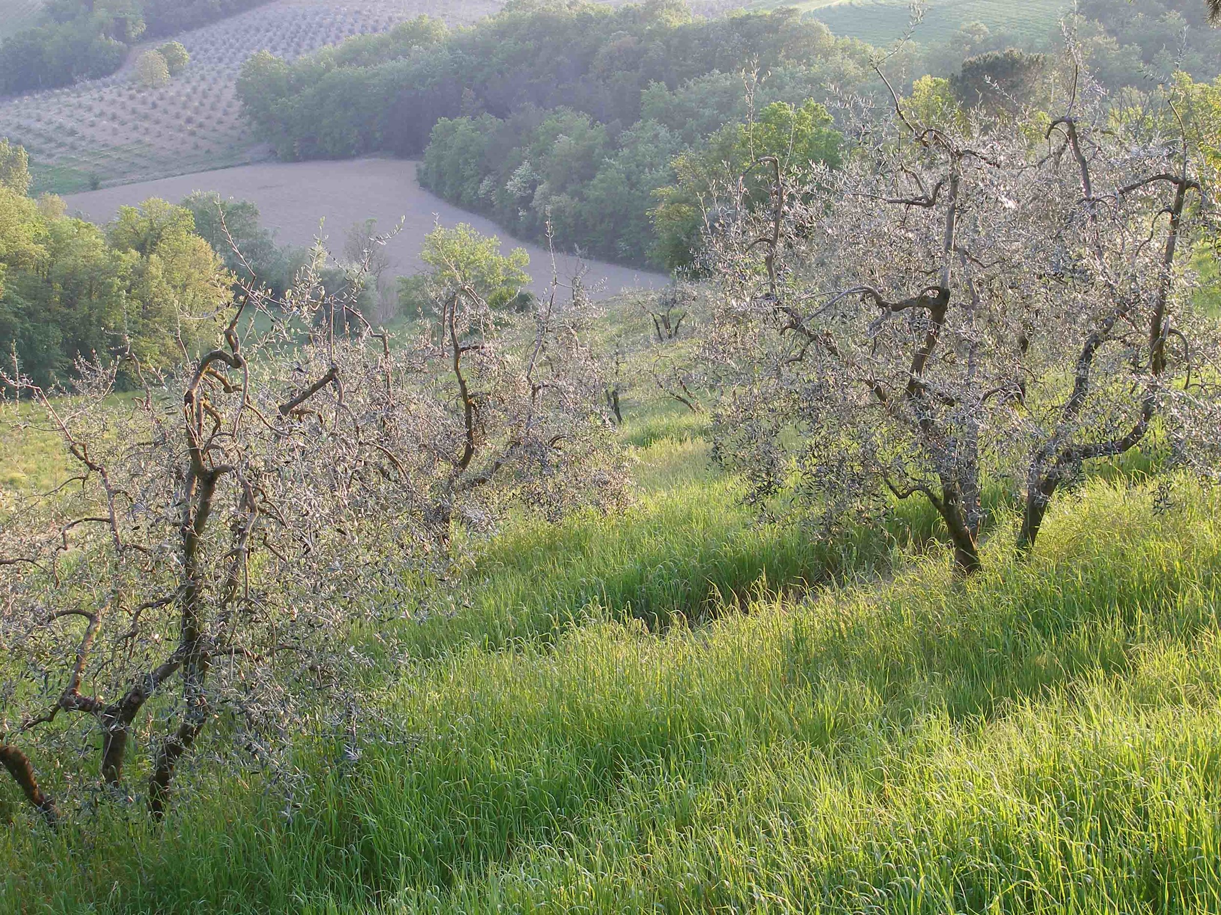 Casa Alina views.jpg