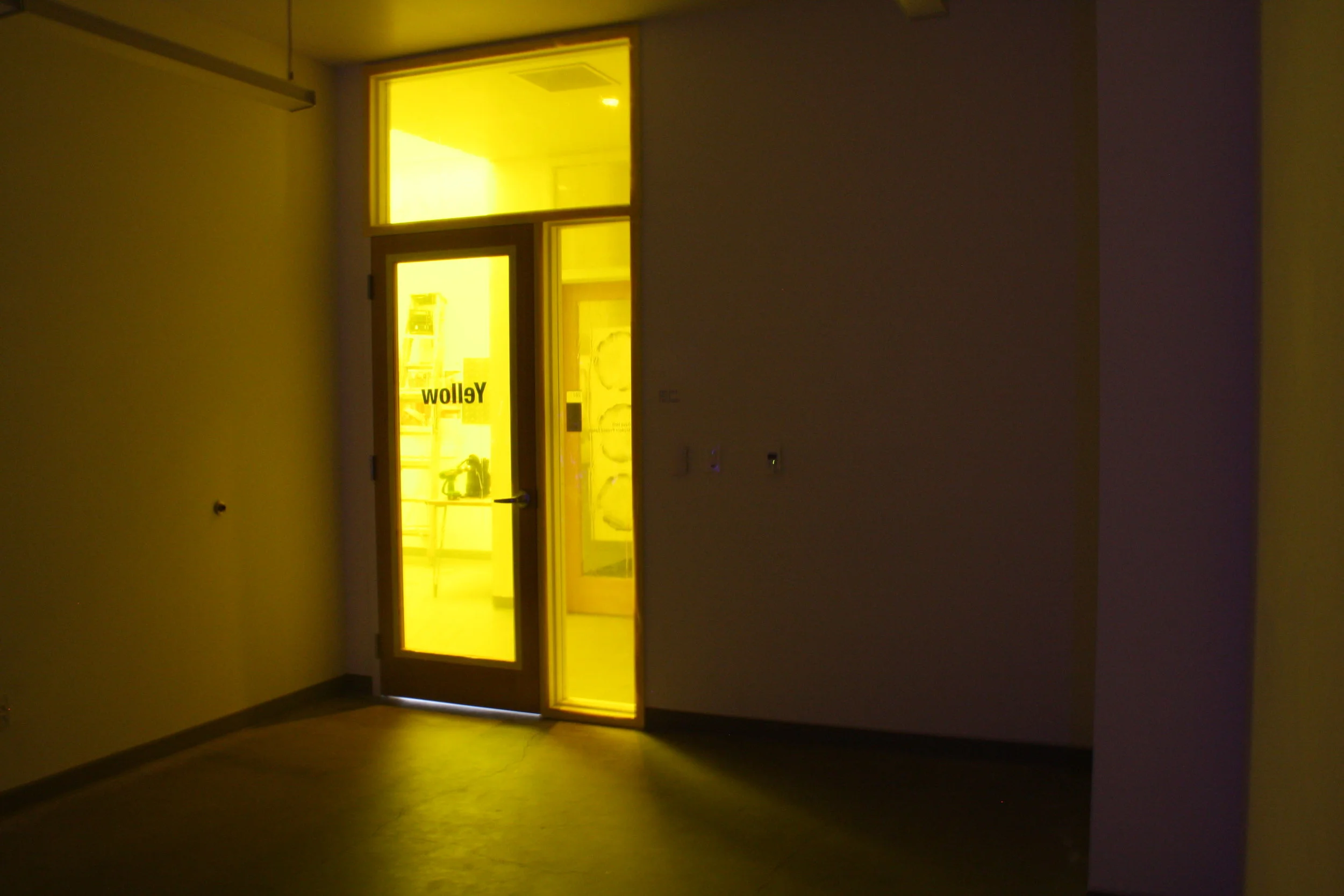 Yellow5.JPG