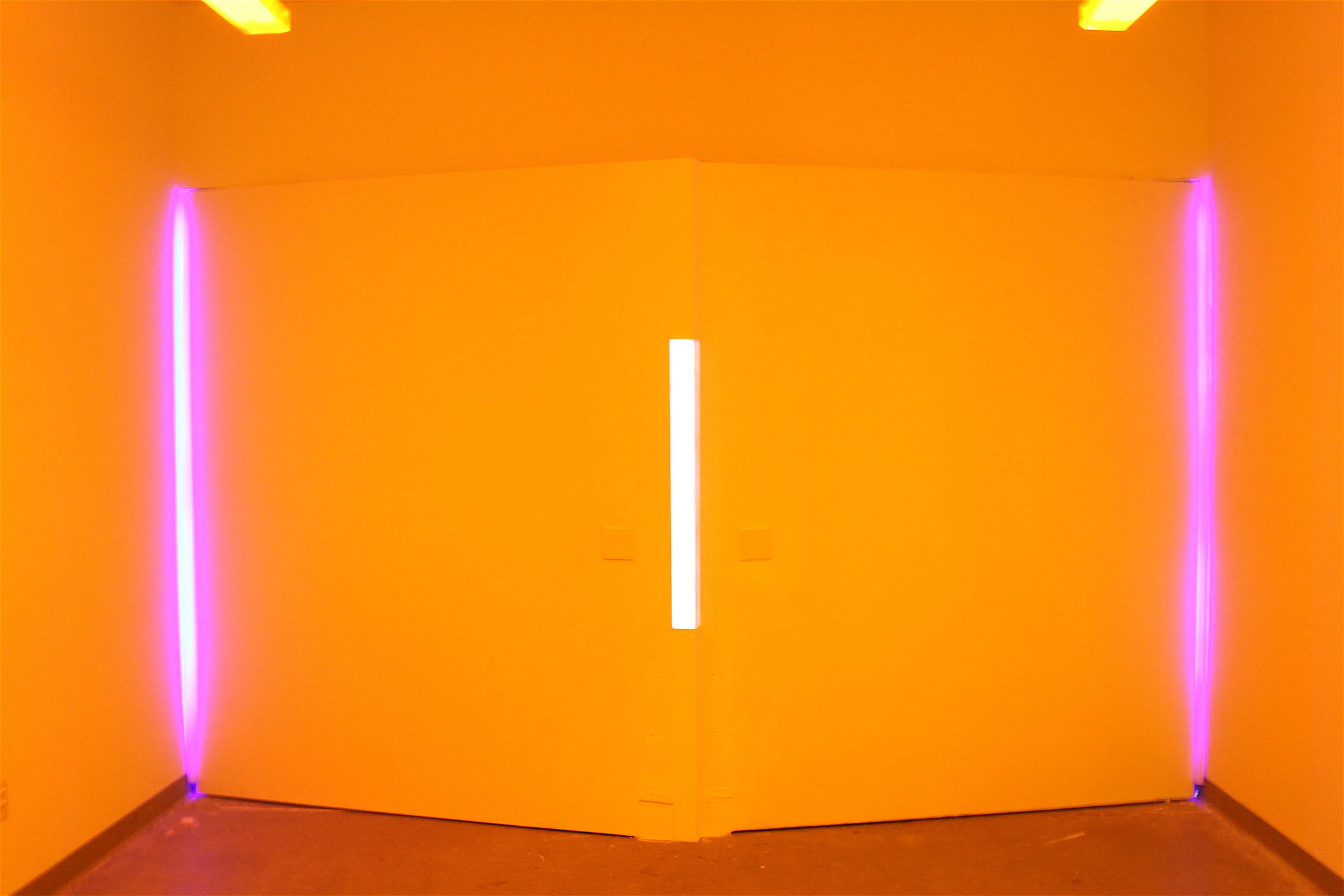 Yellow7.JPG