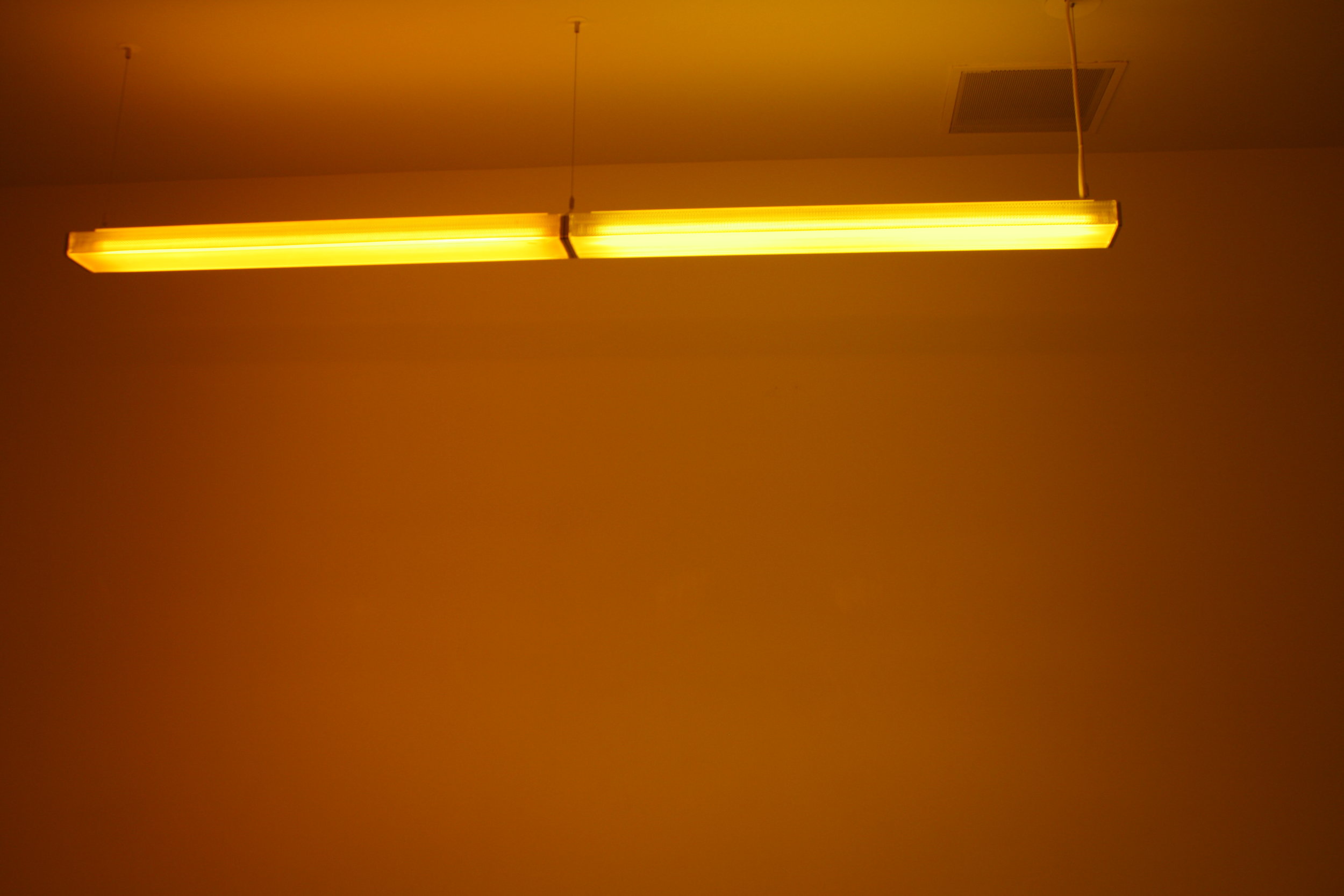 Yellow9.JPG