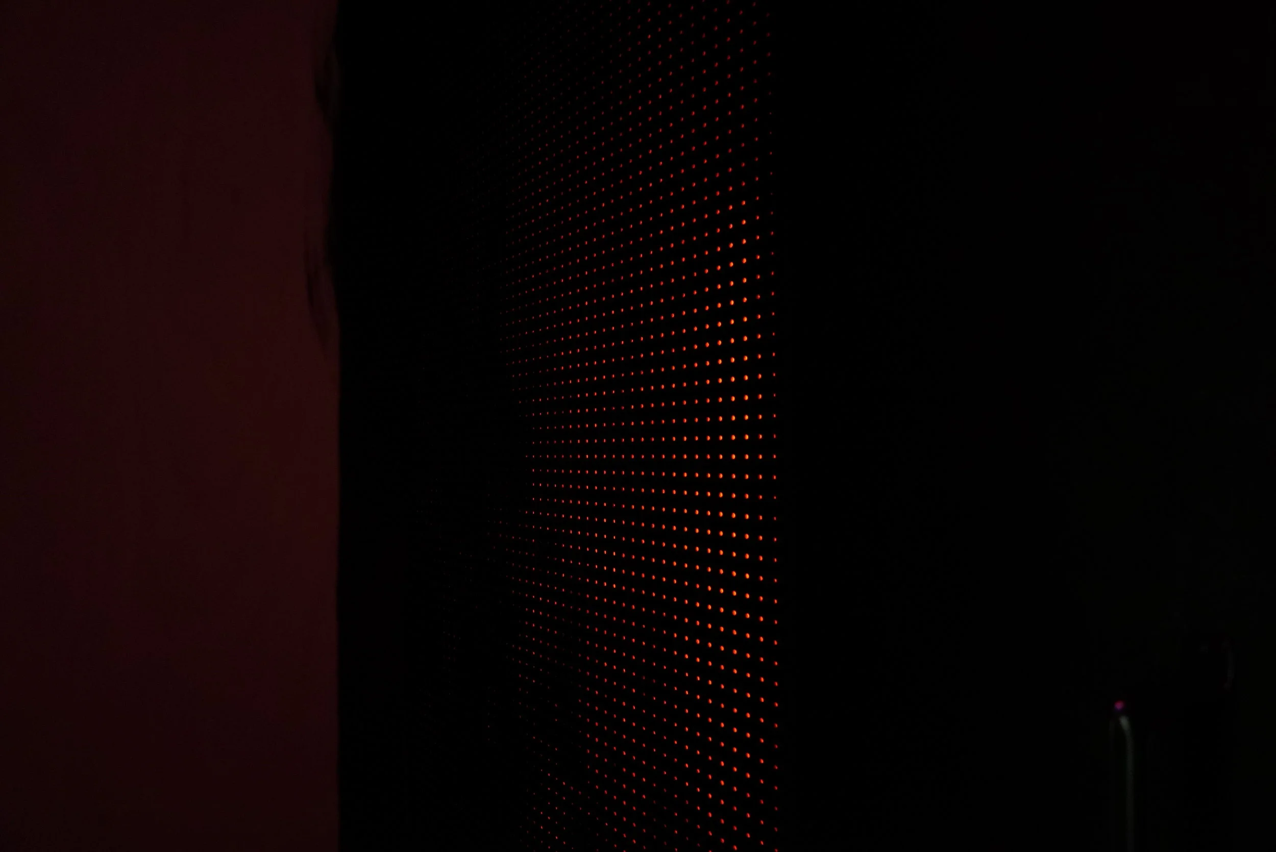DSC08112.JPG