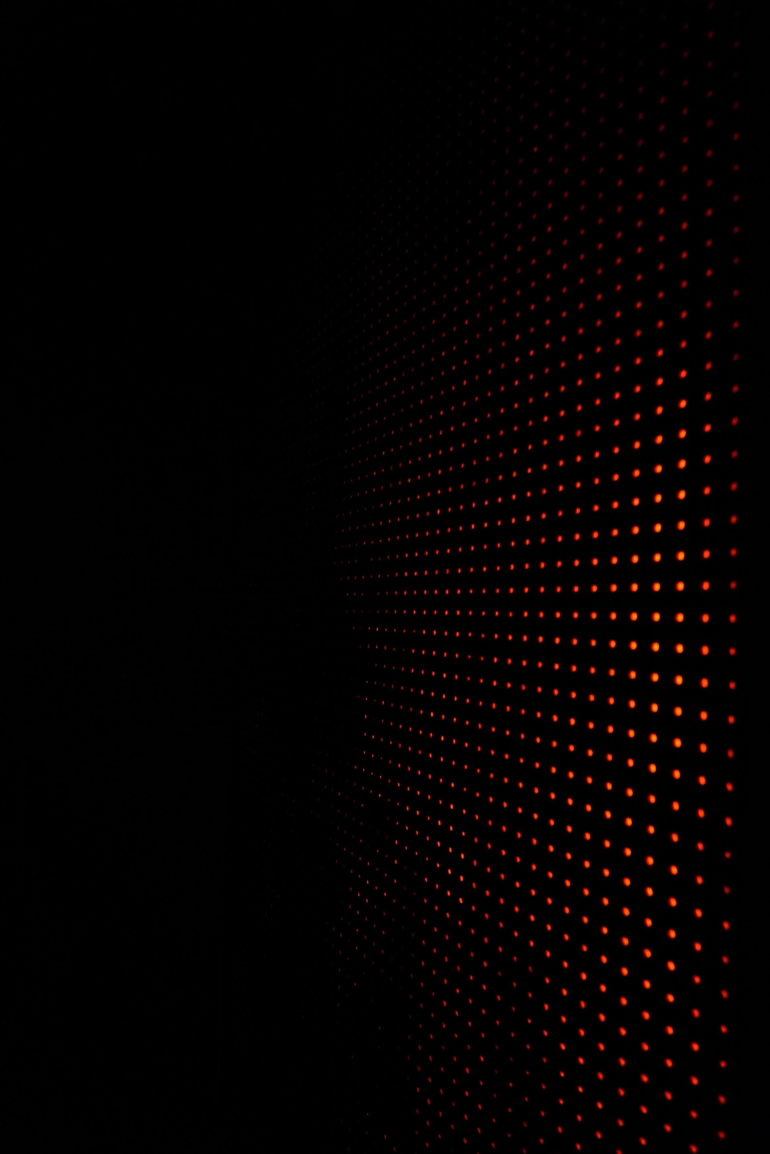 DSC08115.JPG
