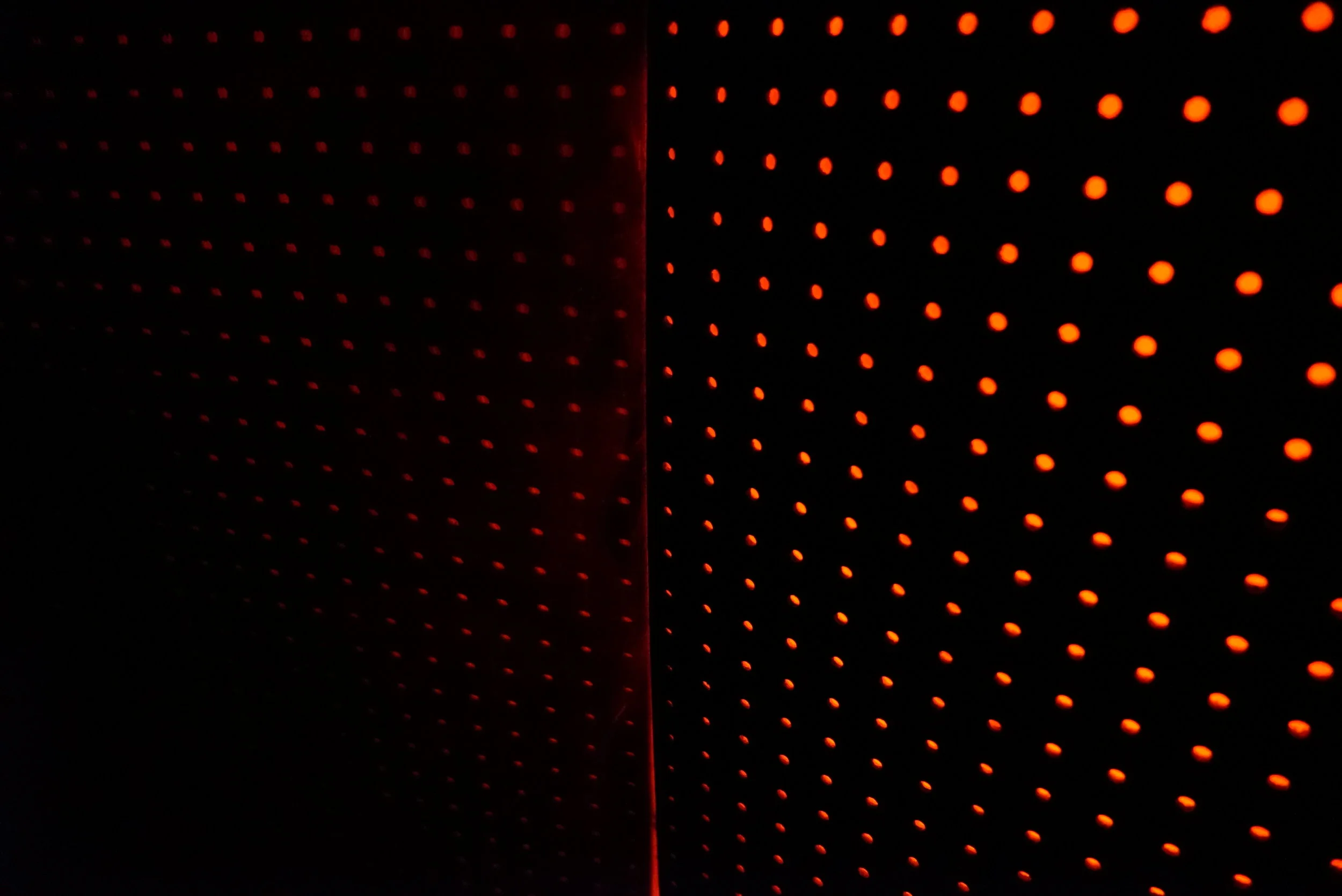 DSC08155.JPG