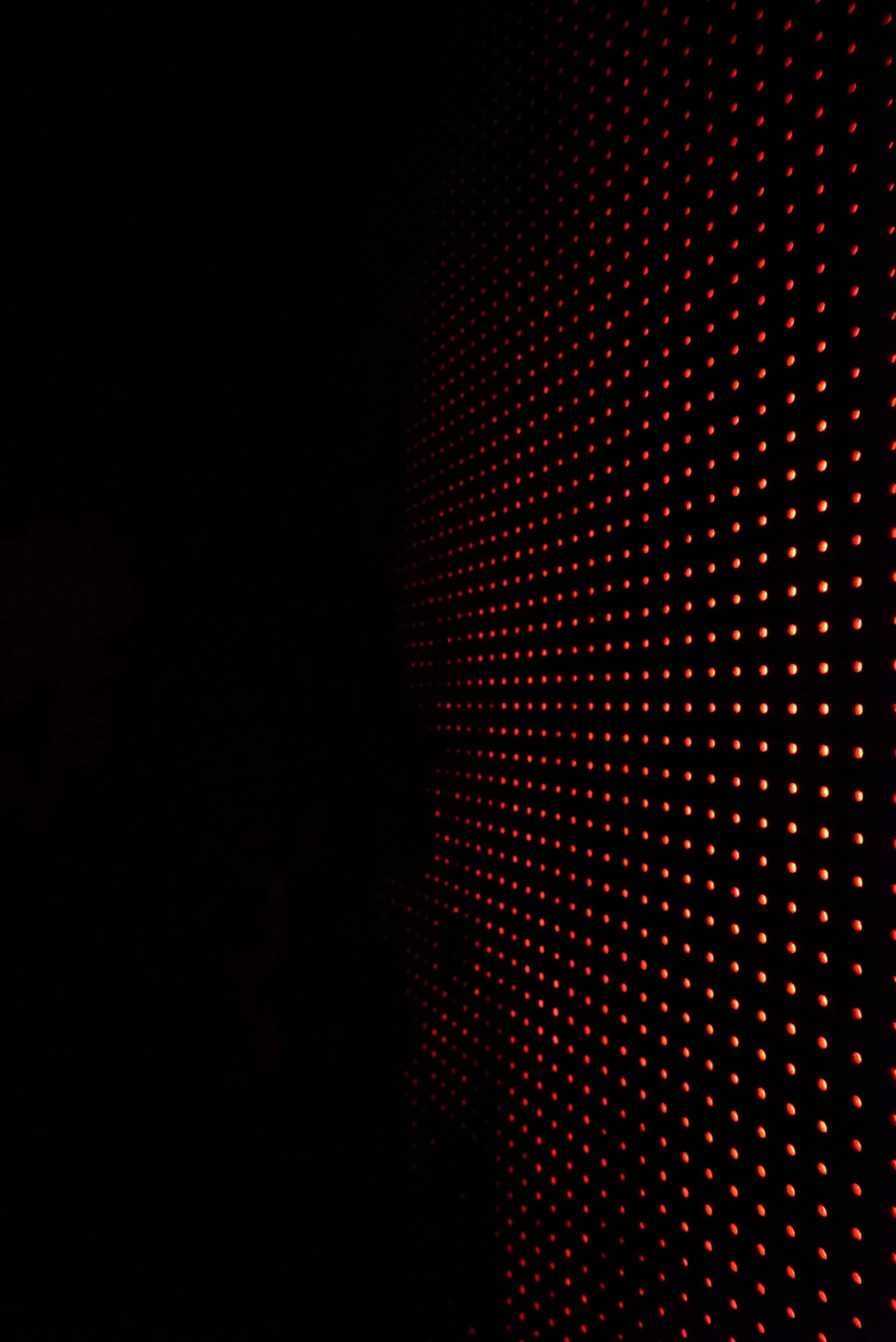 DSC08156.JPG