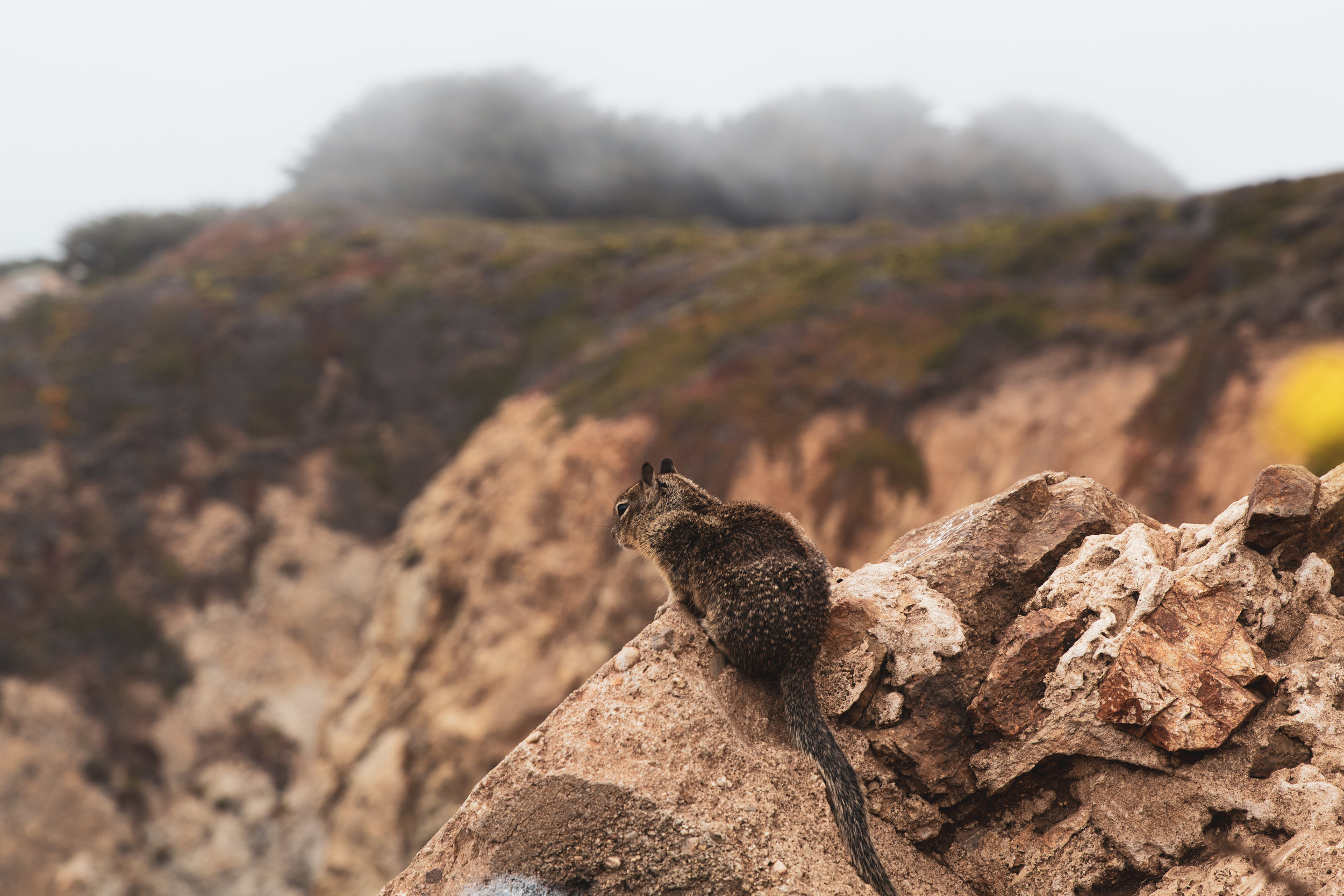 Big Sur, CA