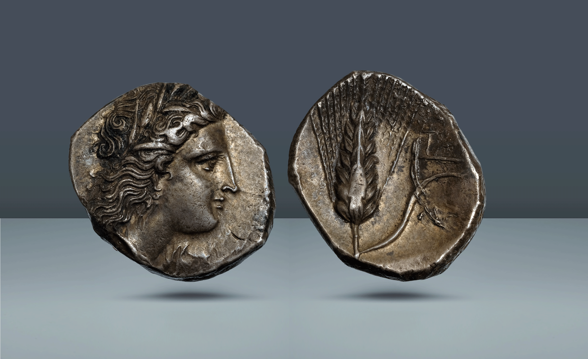 Lucania, Metapontum.  c. 320-290 BC