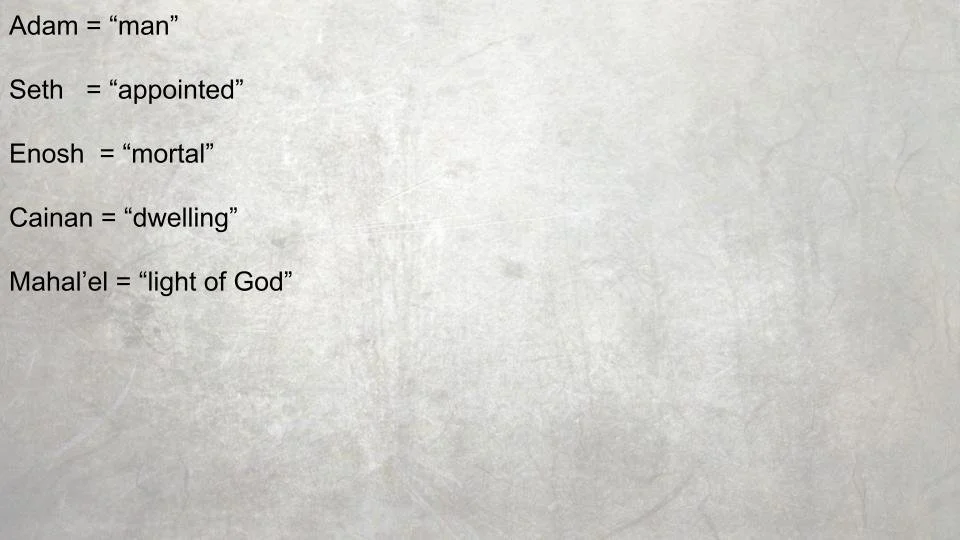 What's in a name-22.jpg