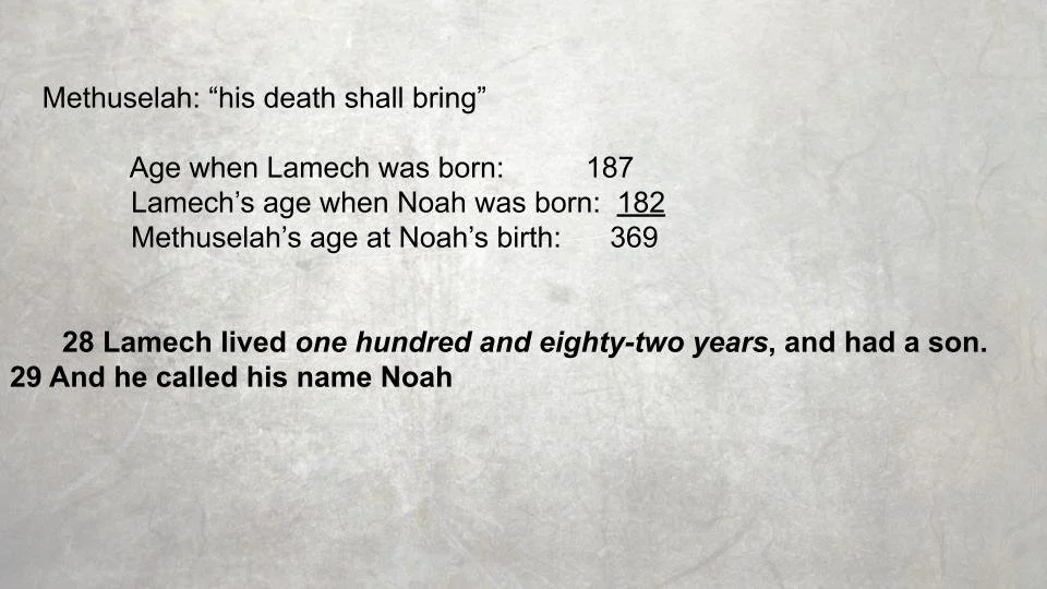 What's in a name-29.jpg