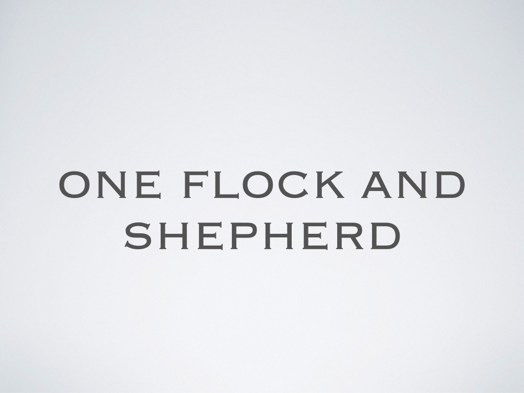 Innovative Faith One Flock One Shepherd 3.22.26.002.png