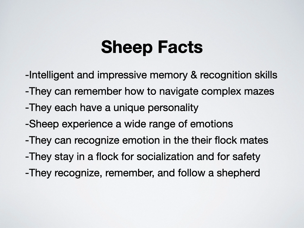 Innovative Faith One Flock One Shepherd 3.22.26.003.png