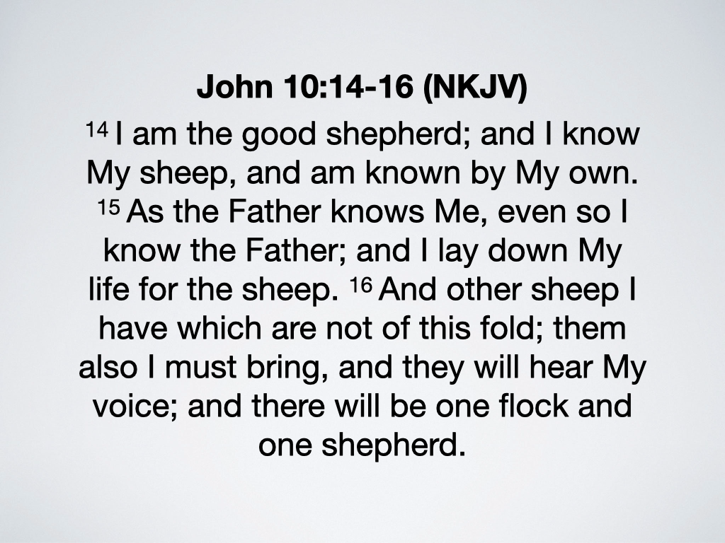Innovative Faith One Flock One Shepherd 3.22.26.015.png
