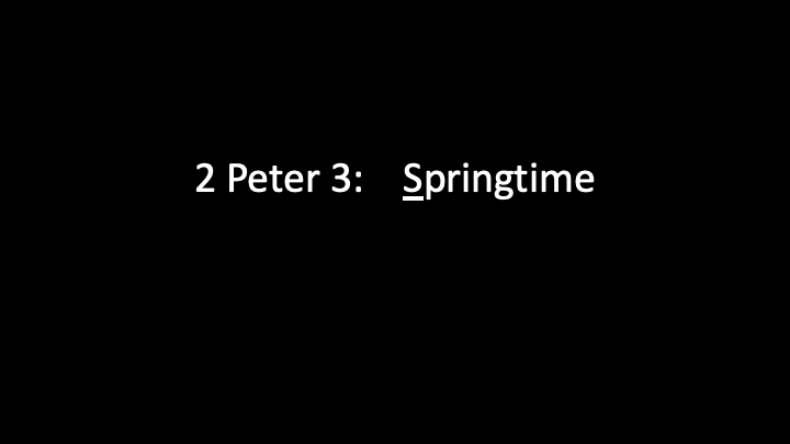 Slide1.png