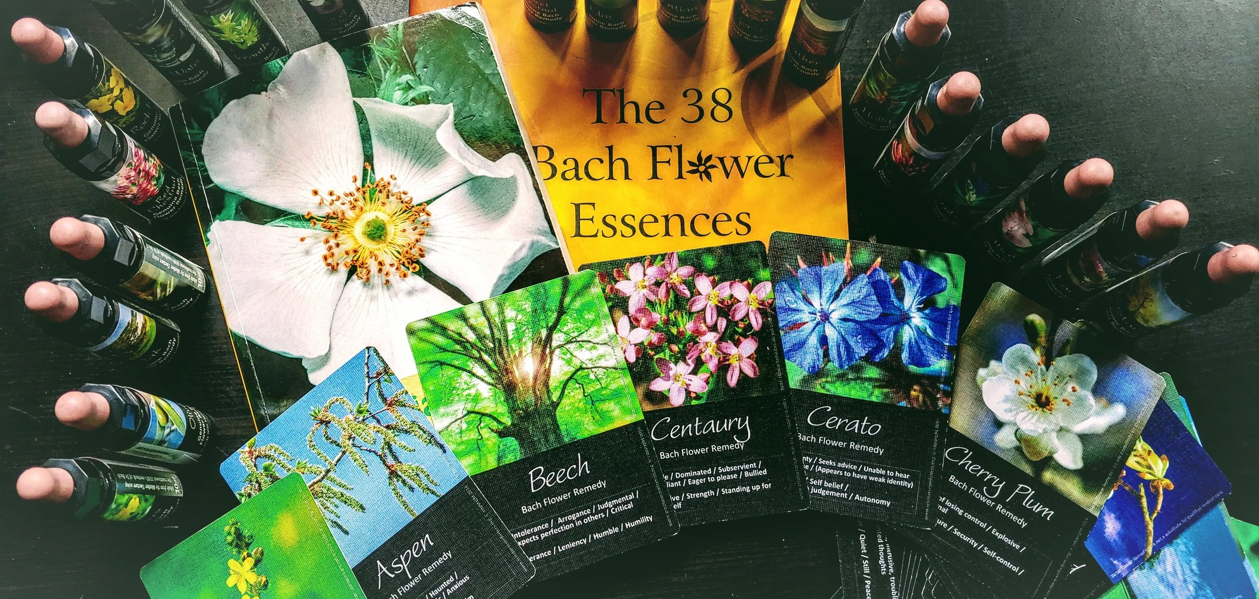 Bach Flower Essence Consultation