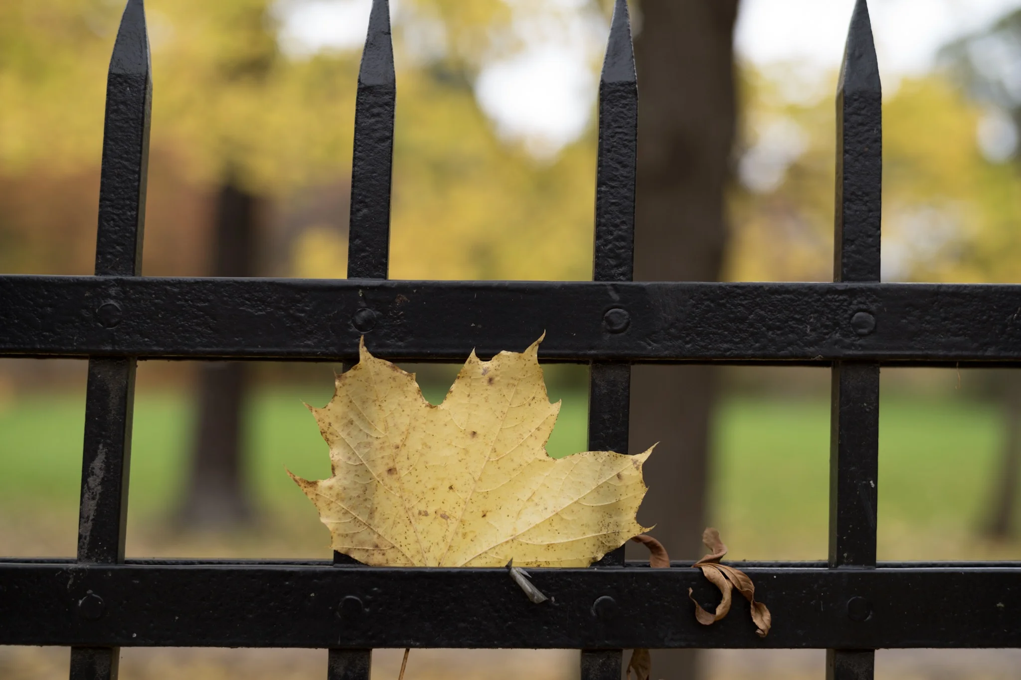 Scandinavia fall 2017