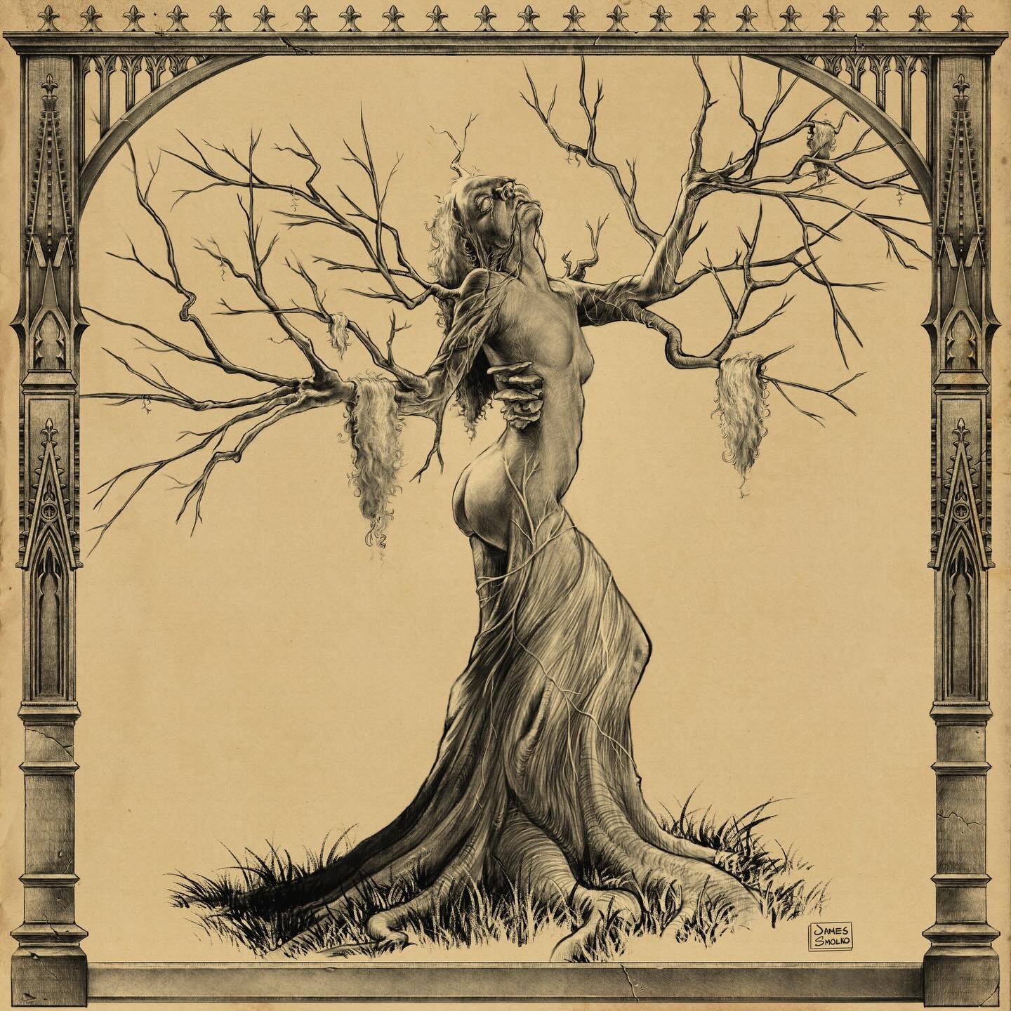 𝕹𝖆𝖆𝖛𝖊: 𝔇𝔯𝔶𝔞𝔡 𝔬𝔣 𝔱𝔥𝔢 𝔊𝔯𝔢𝔞𝔱 ℭ𝔞𝔱𝔥𝔢𝔡𝔯𝔞𝔩𝔰

Naave was born knowing how things end, as all dryads do. When the first Cathedral was raised at the edge of her grove, she did not resist. She took pity on the builders and guided the