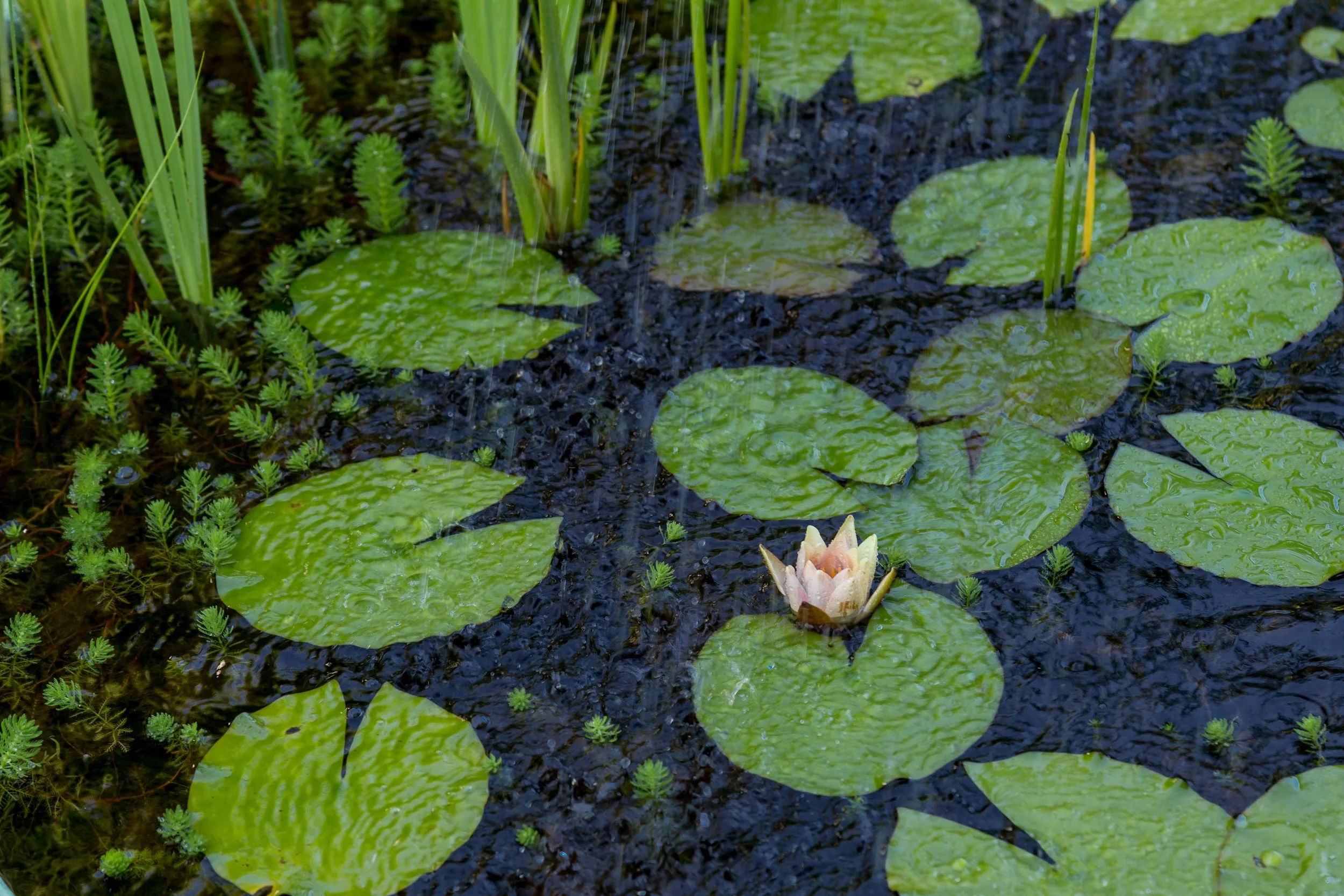 Photo by LuAnn Hunt on Unsplash