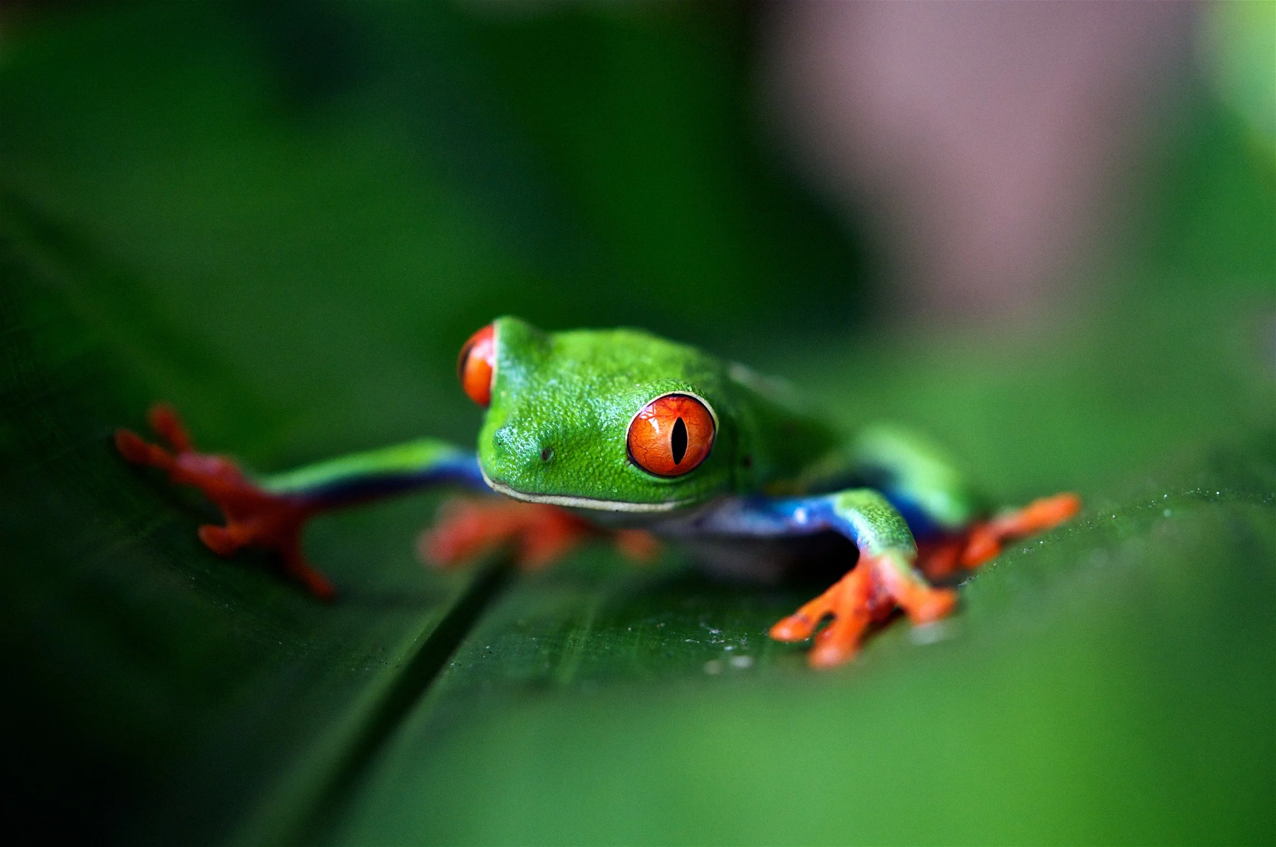 Photo by&nbsp;Trevor Cole&nbsp;on&nbsp;Unsplash