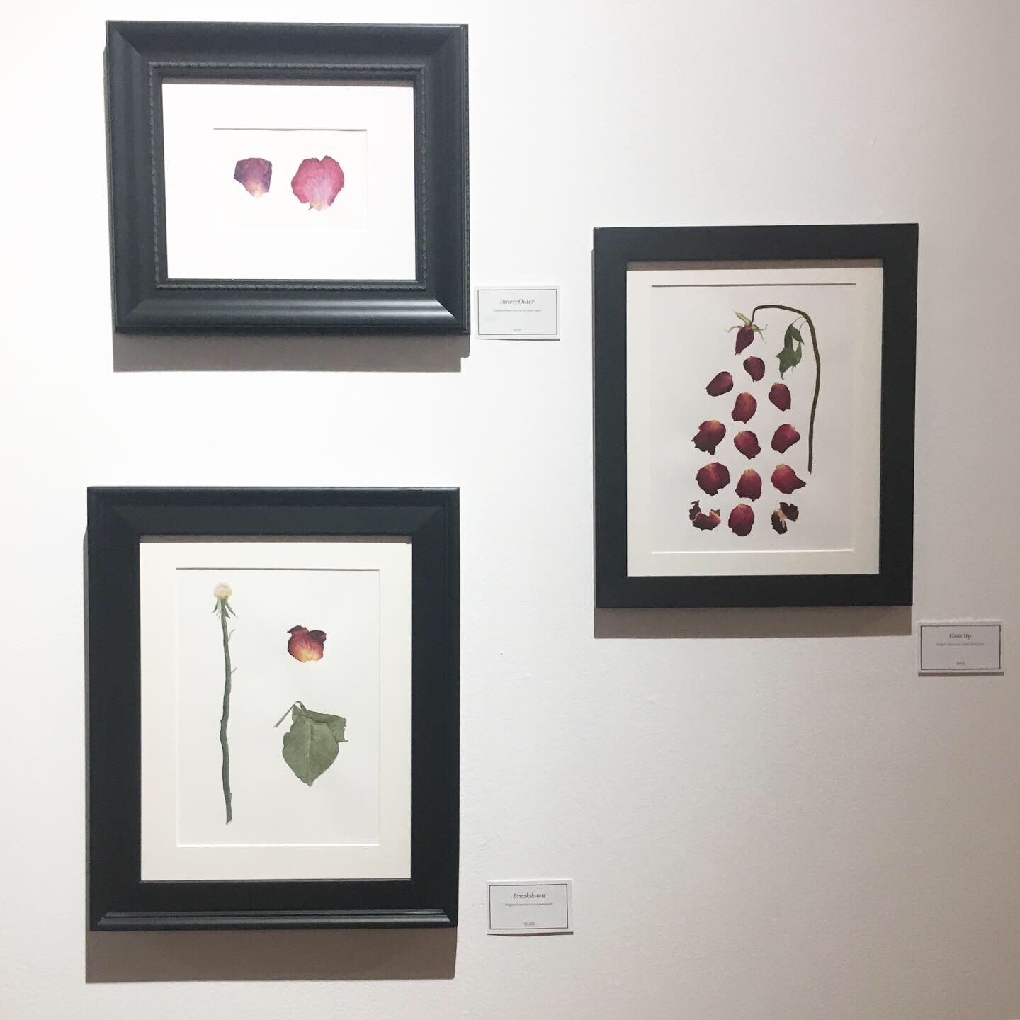 Solo Show at D. Varelli in Pilsen