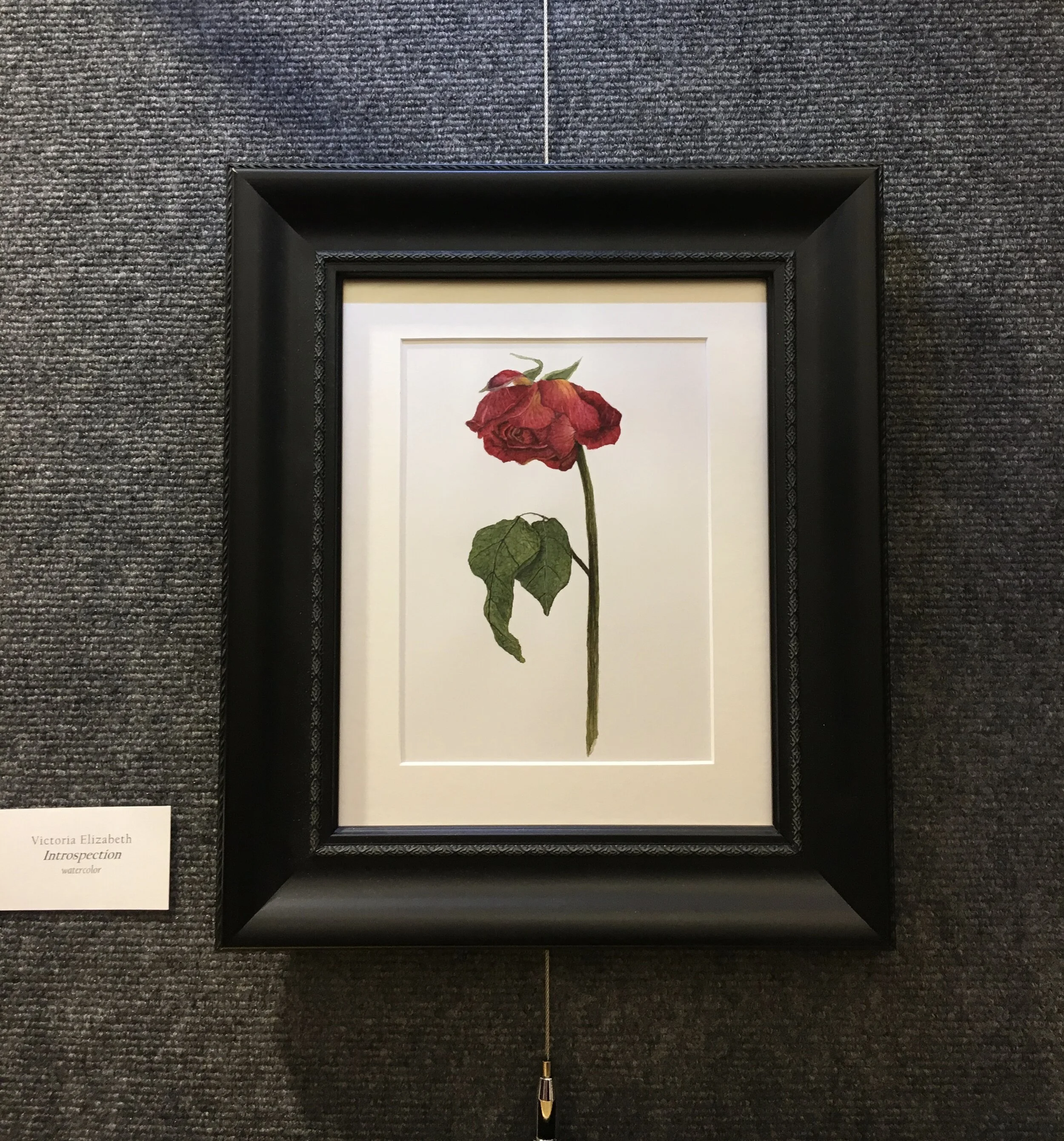 Nature Artist's Guild Holiday Show Saturday Hours 2019