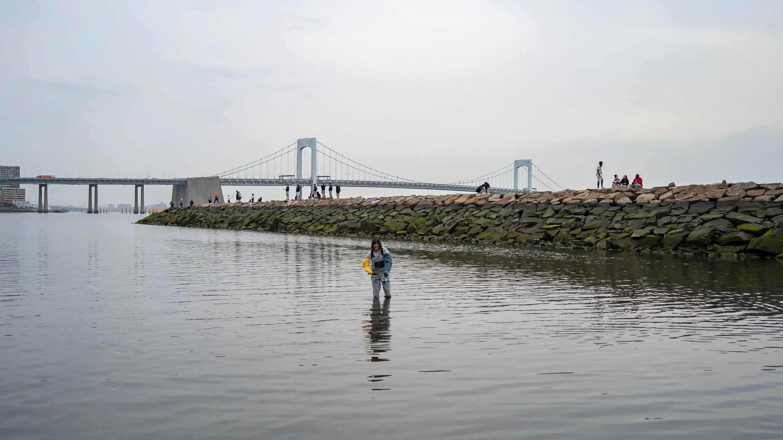 Sediment collection at Little Bay Park in Queens, April 2021. Photos by Laura Sofía Pérez.