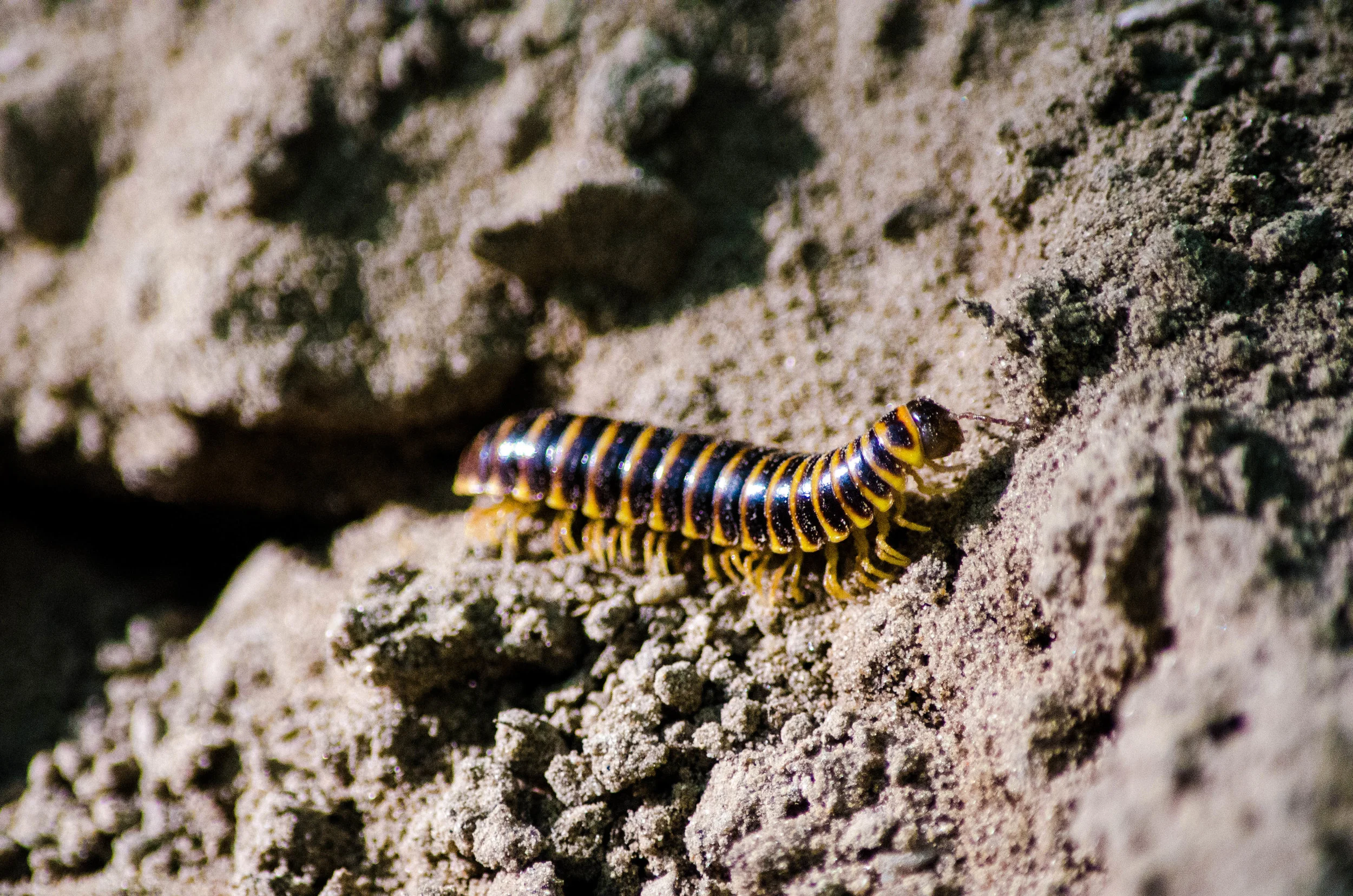 DSC_8573.jpg