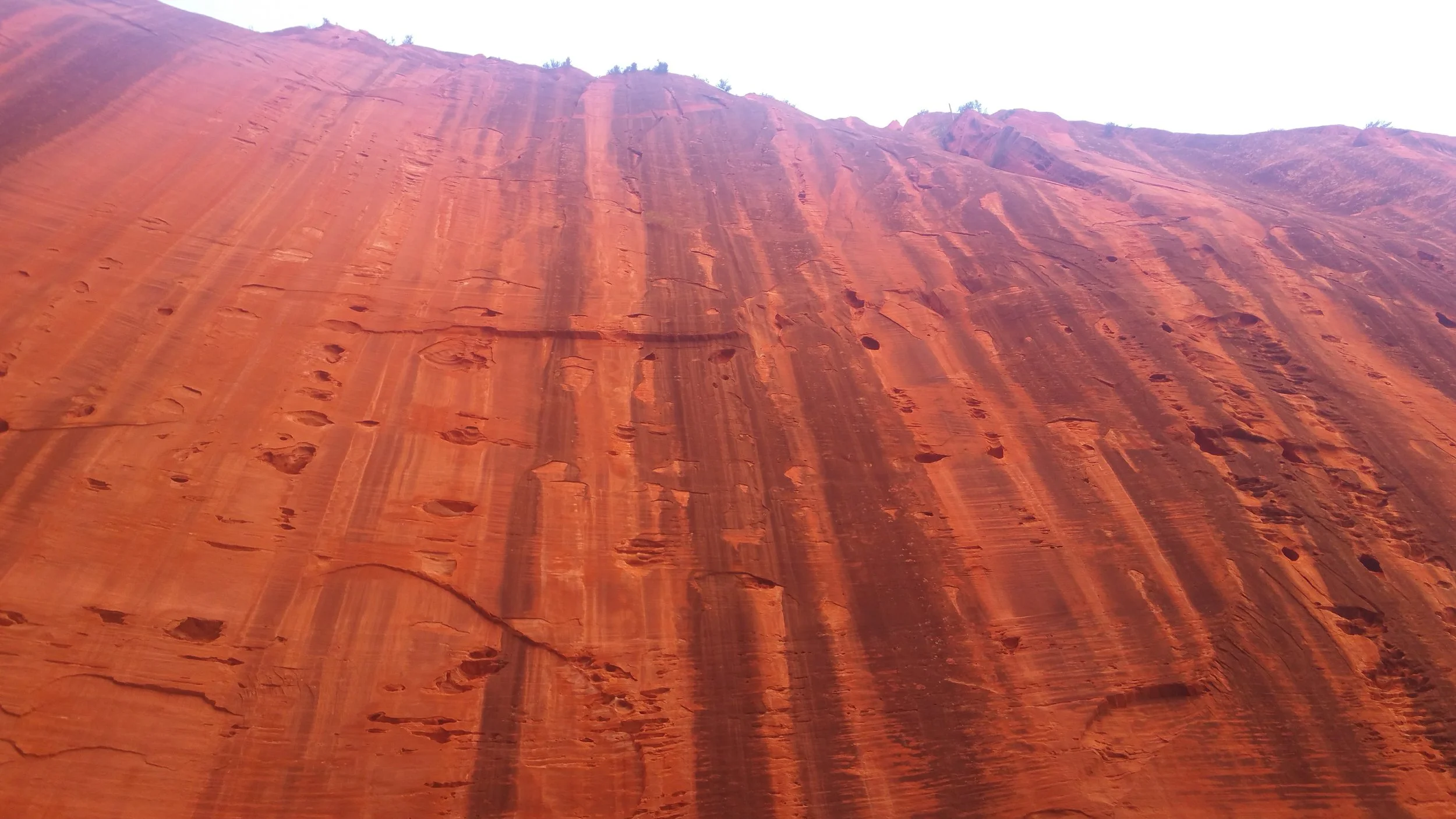 Zion Wall by Lawrence Fike.jpg