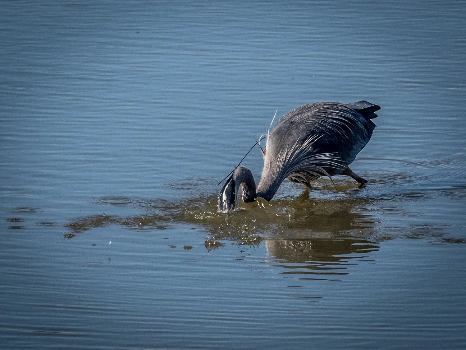 20180320-P3201291.jpg