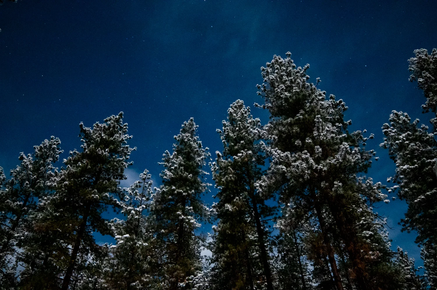 D30_1248.jpg