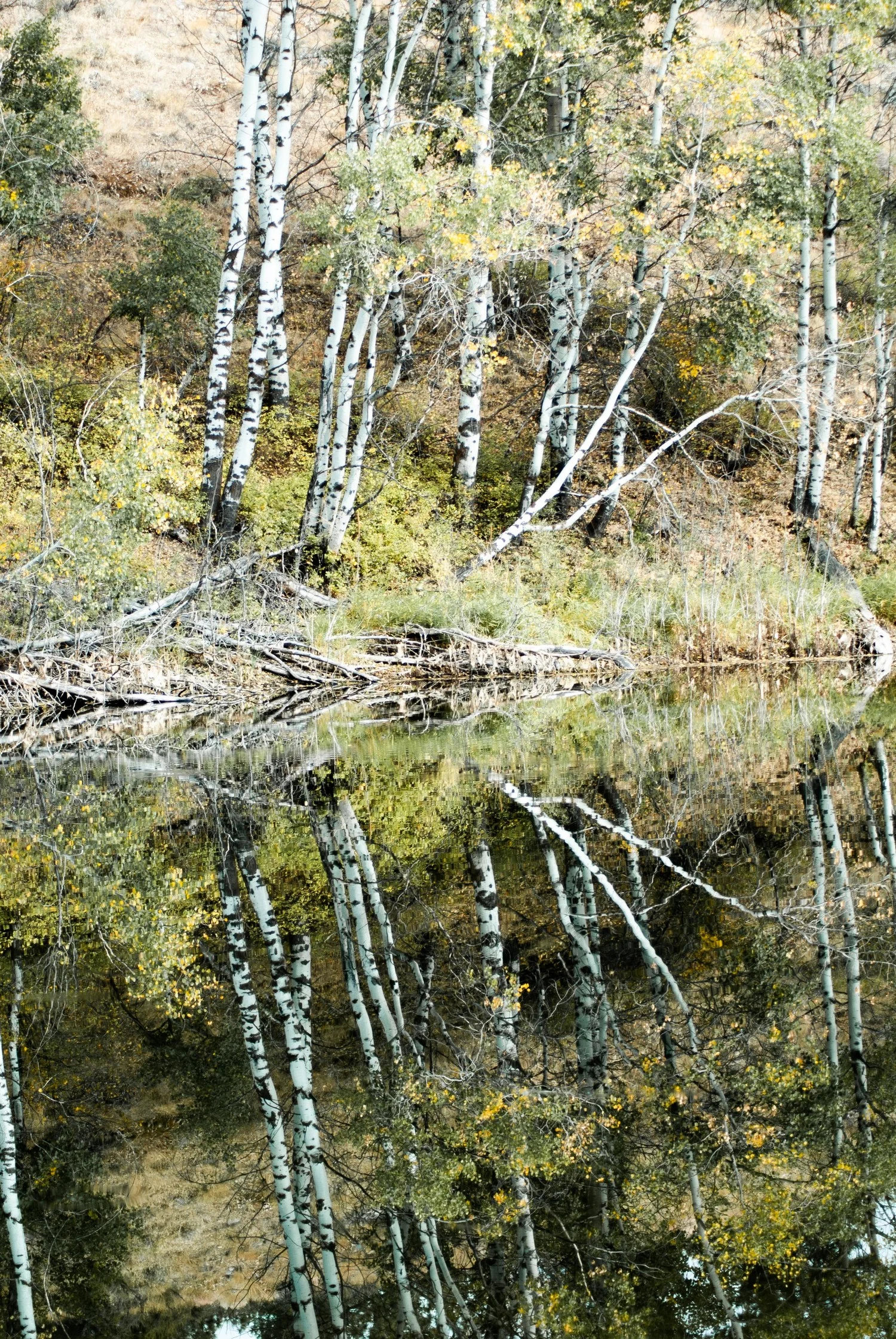 DSC_3876.jpg