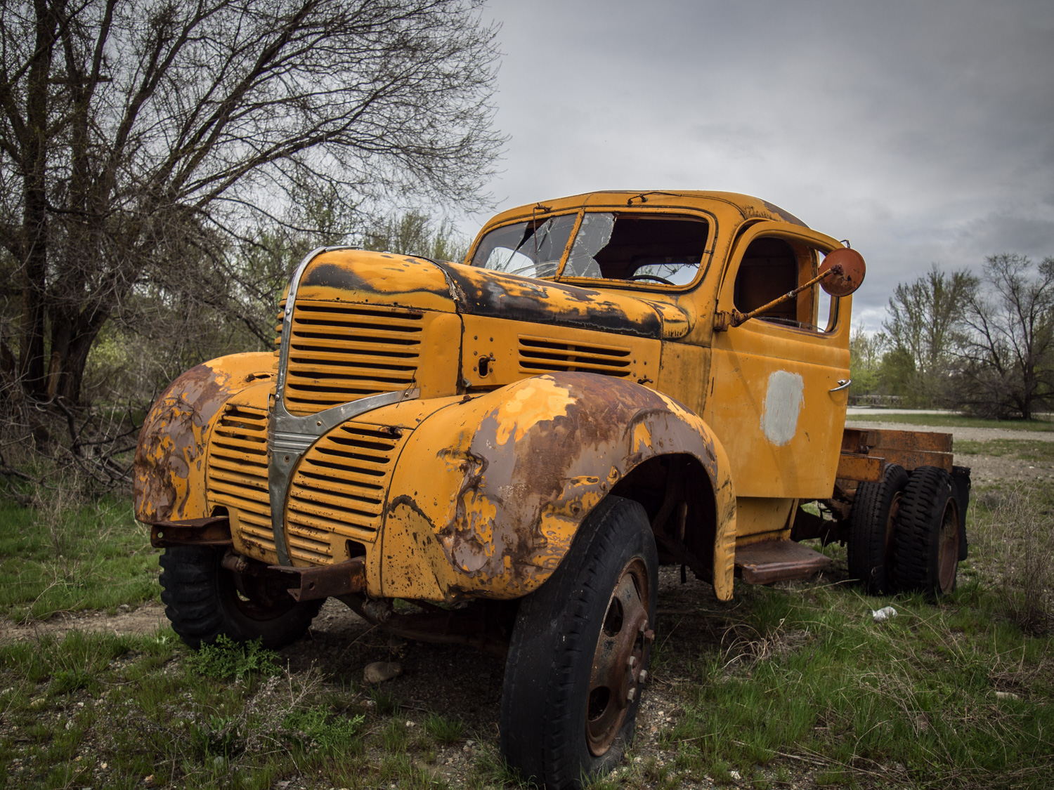 P4271877.JPG